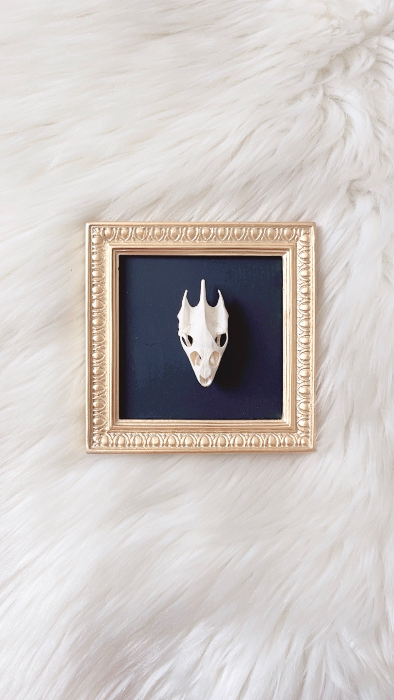 Saylor Oddities Frame <Turtle Skull>