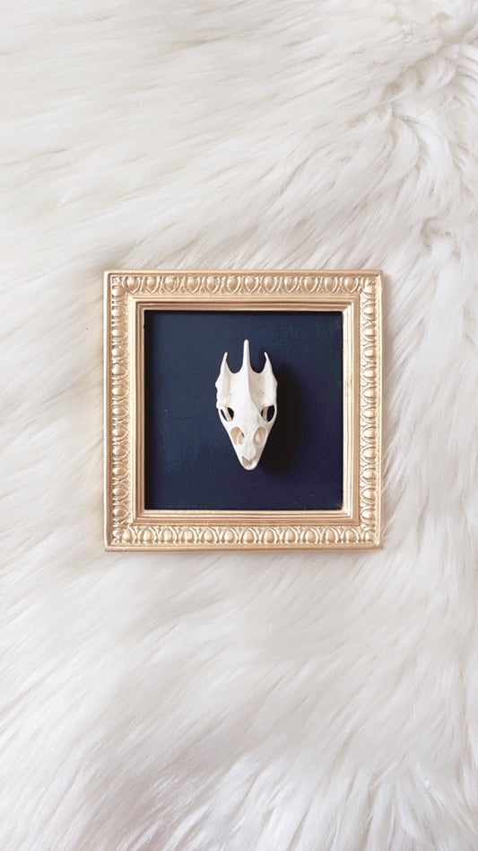 Saylor Oddities Frame <Turtle Skull>