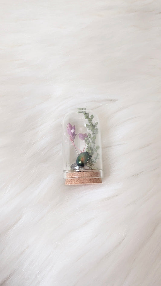 Scottie Mini Terrarium