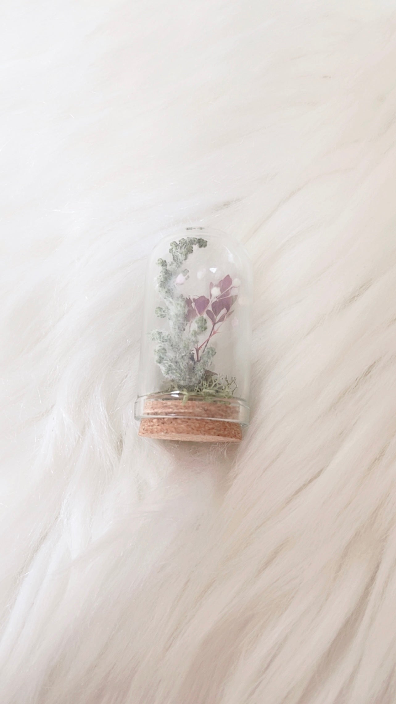 Scottie Mini Terrarium