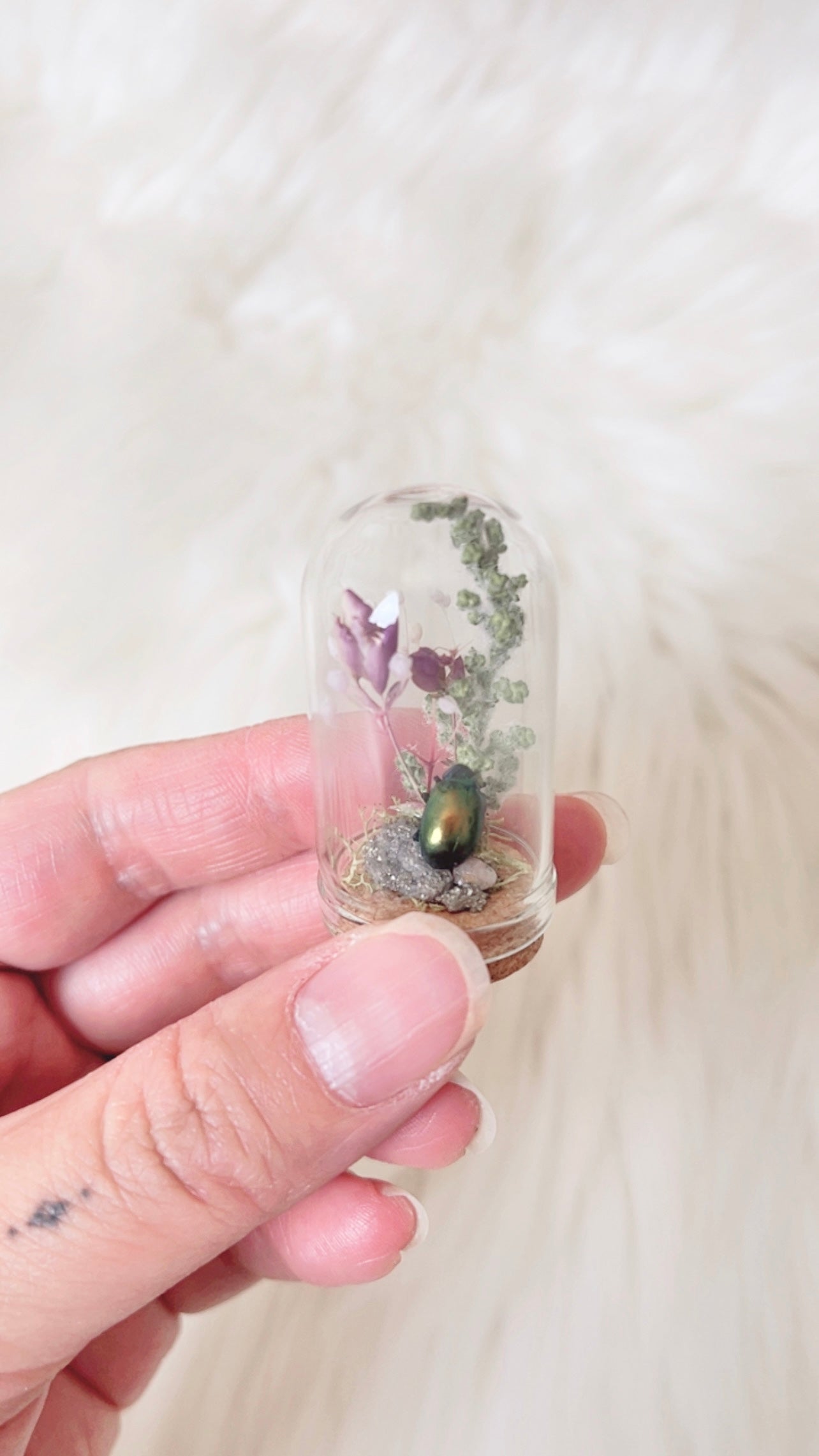 Scottie Mini Terrarium