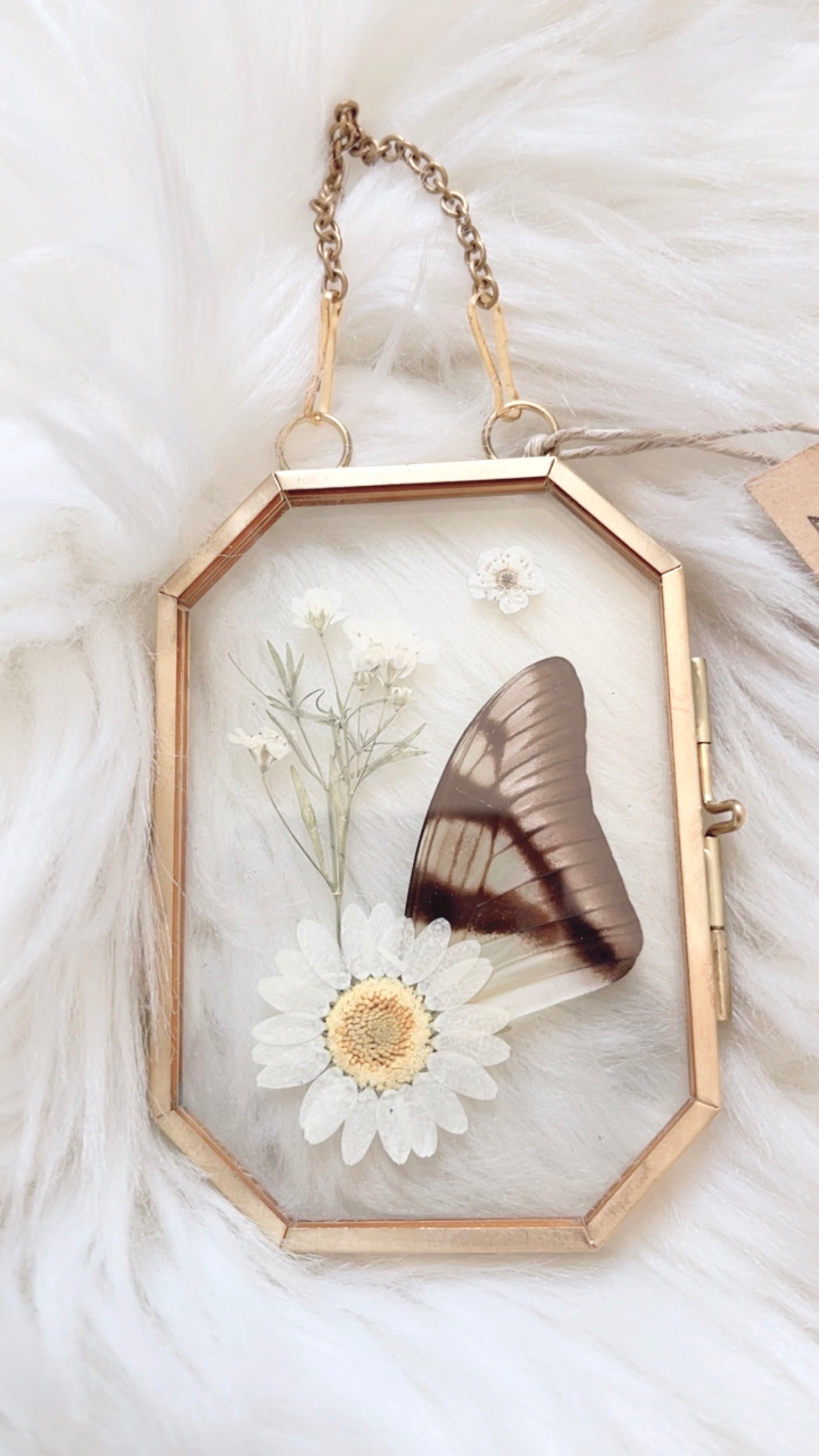 Serenity Butterfly Floral Frame <2.5x3.5in>