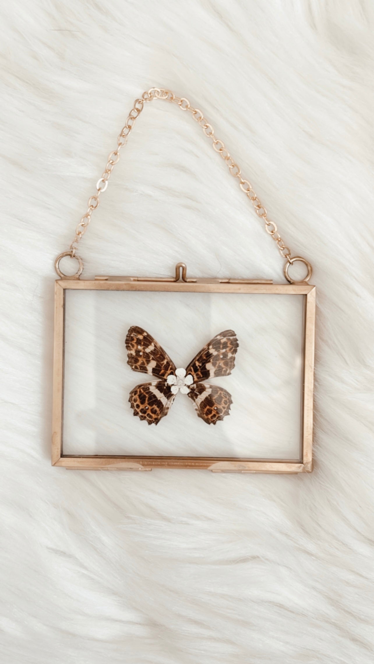 Shannon Butterfly Floral Frame