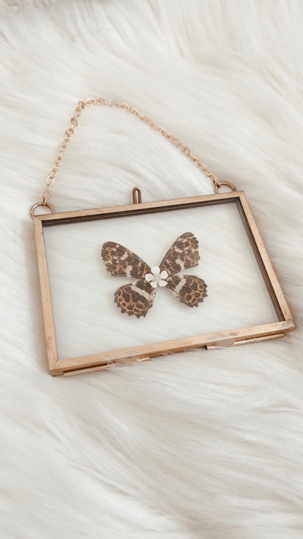 Shannon Butterfly Floral Frame