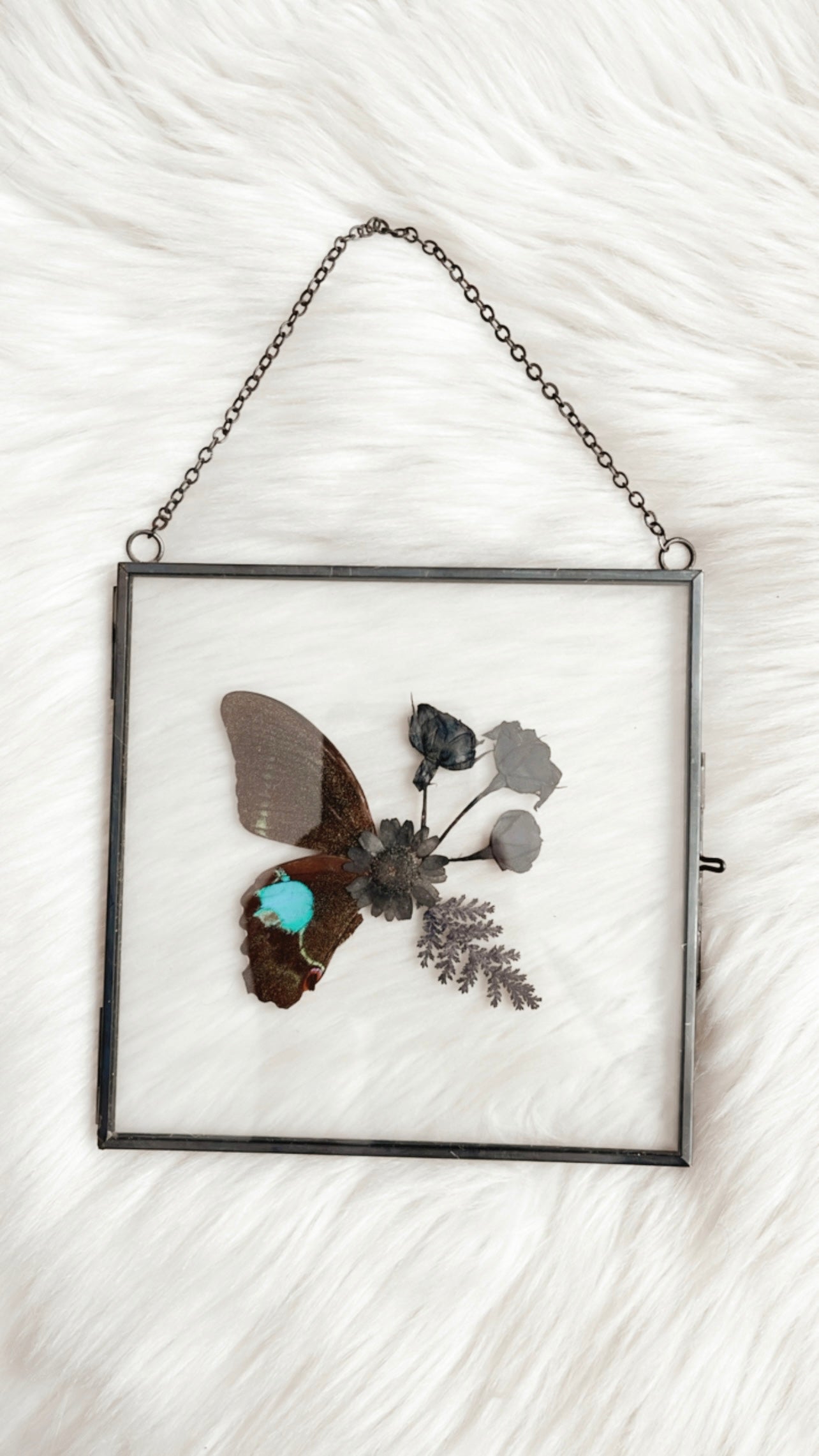 Shelby Butterfly Floral Frame