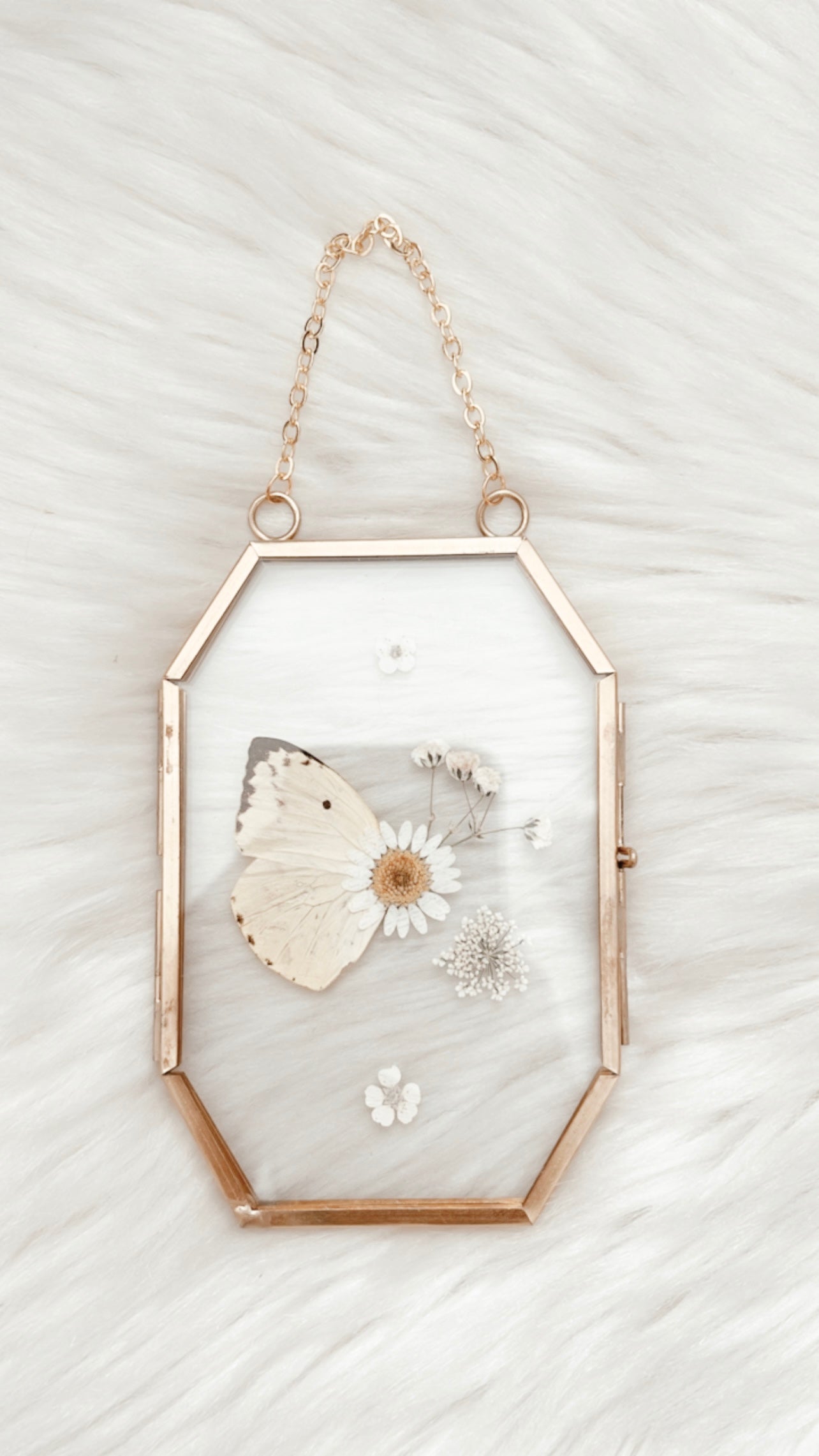 Sheryl Butterfly Floral Frame