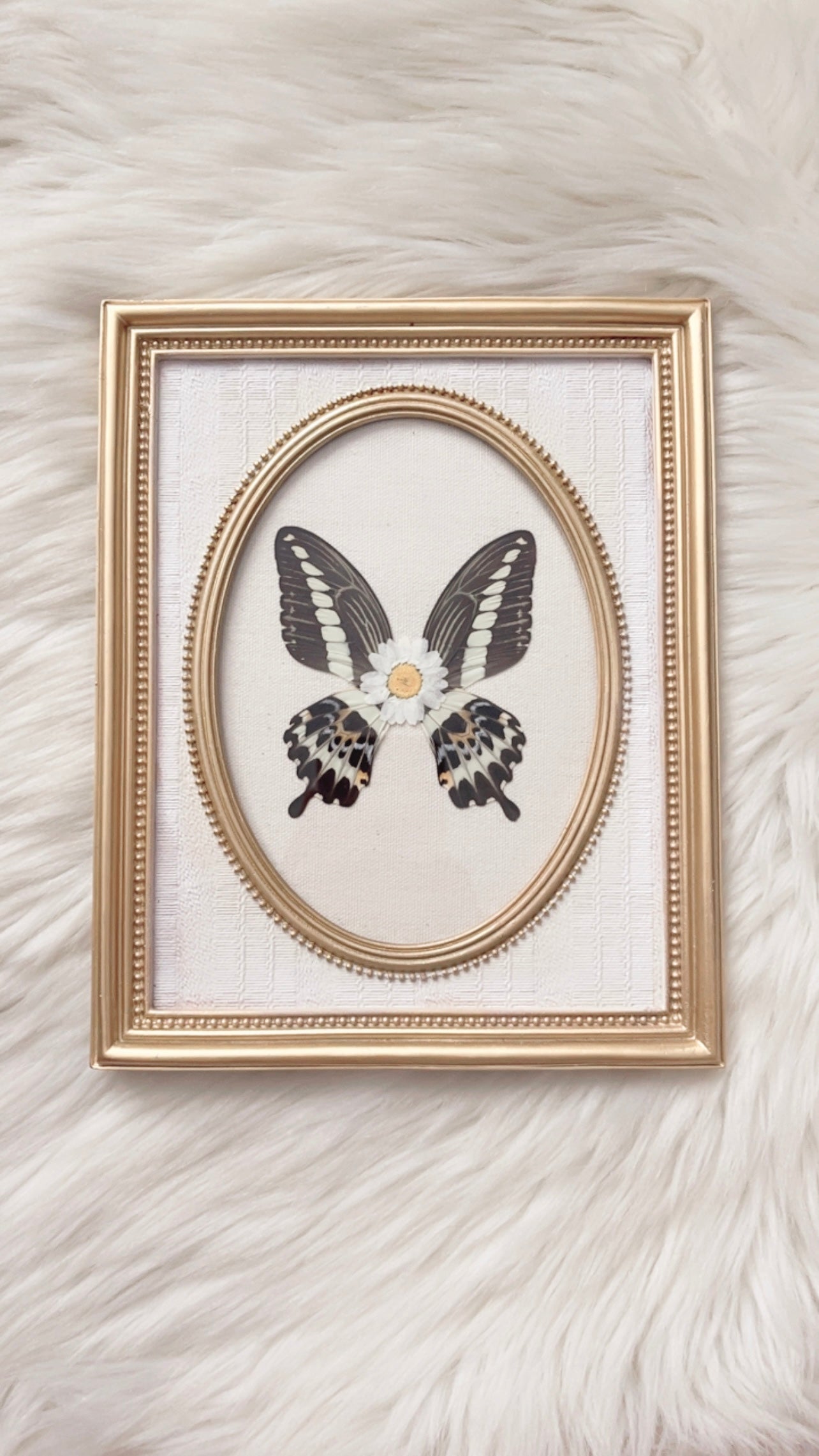 Shiloh Butterfly Ornate Frame <7.75x9.75in>