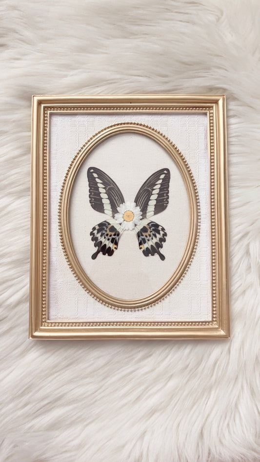Shiloh Butterfly Ornate Frame <7.75x9.75in>
