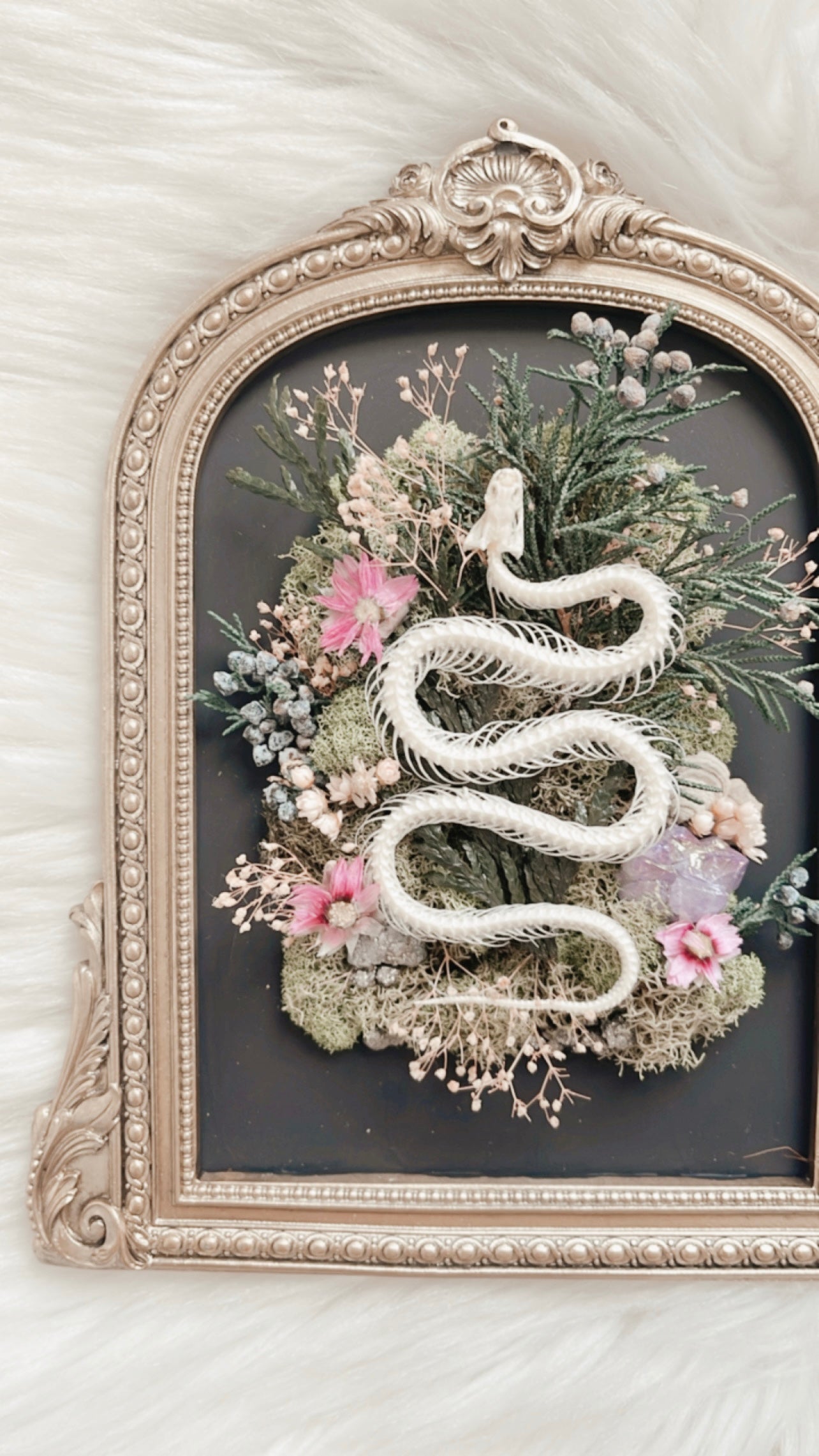 Sienna Snake Oddities Floral Frame