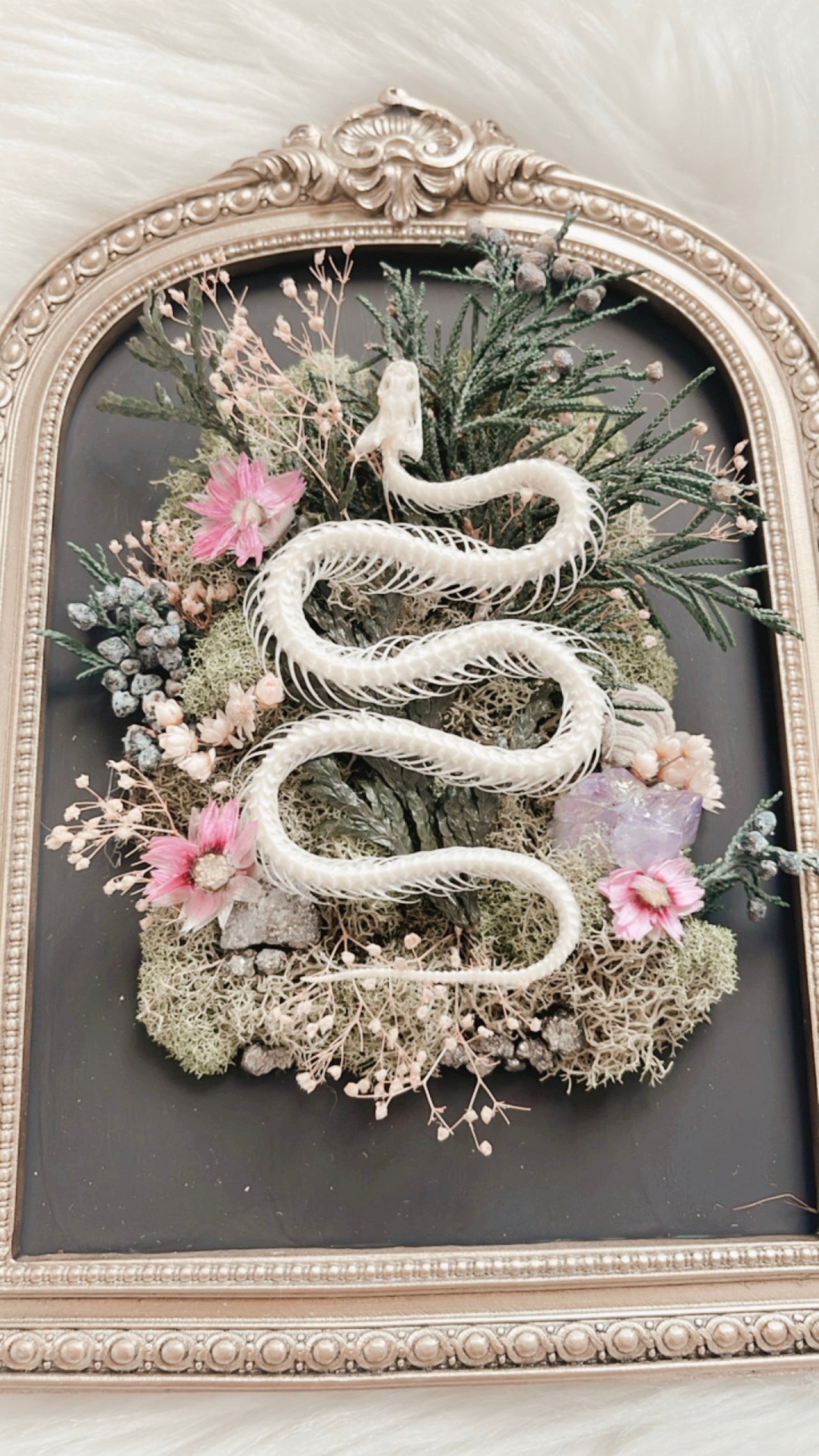 Sienna Snake Oddities Floral Frame