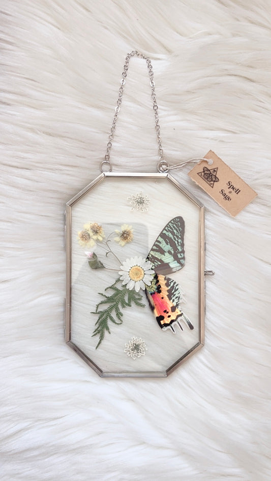 Sloane Moth Floral Frame <4x6in>