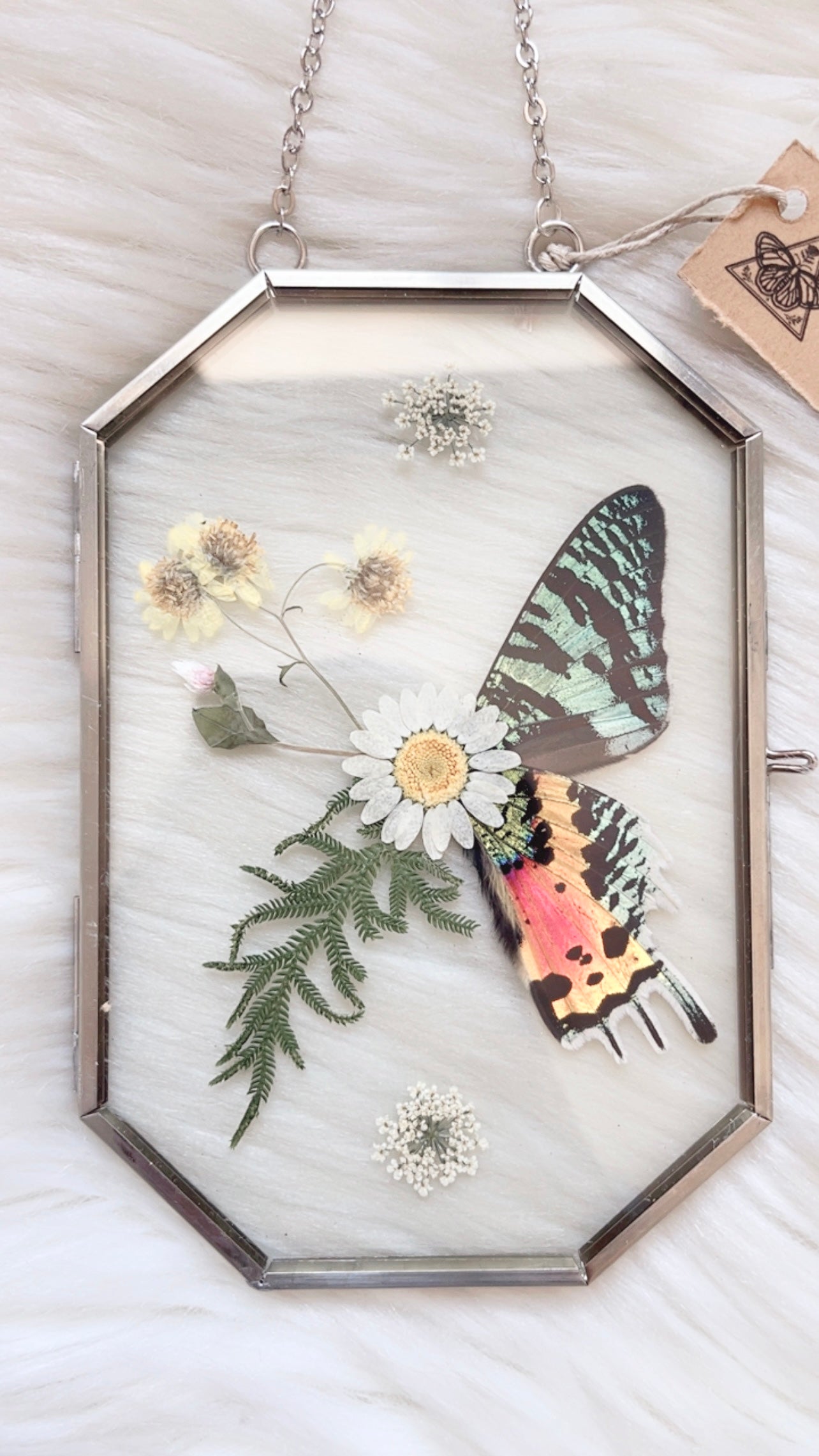Sloane Moth Floral Frame <4x6in>