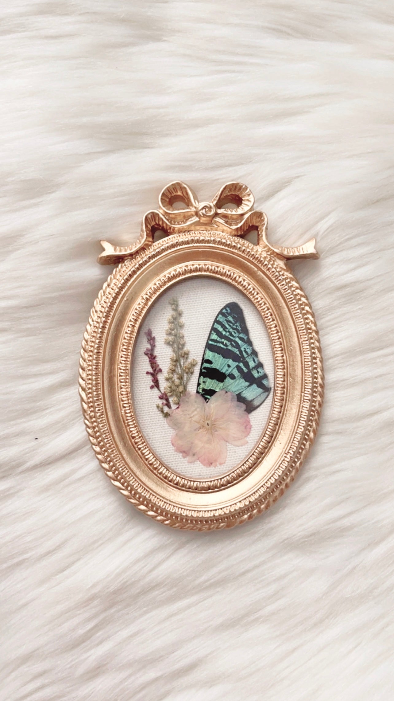 Sloane Moth Ornate Frame <3.75x5.5in>