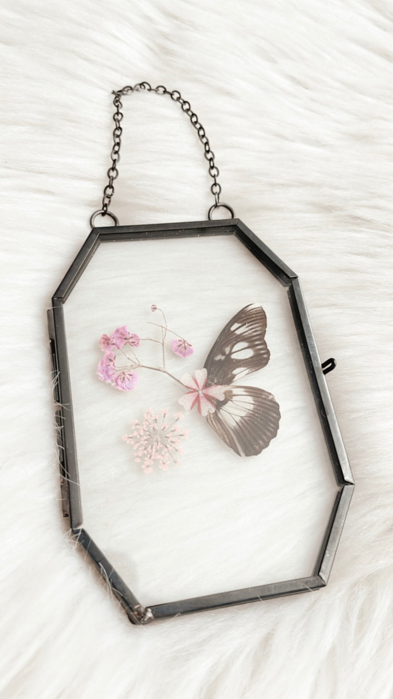 Sofia Butterfly Floral Frame