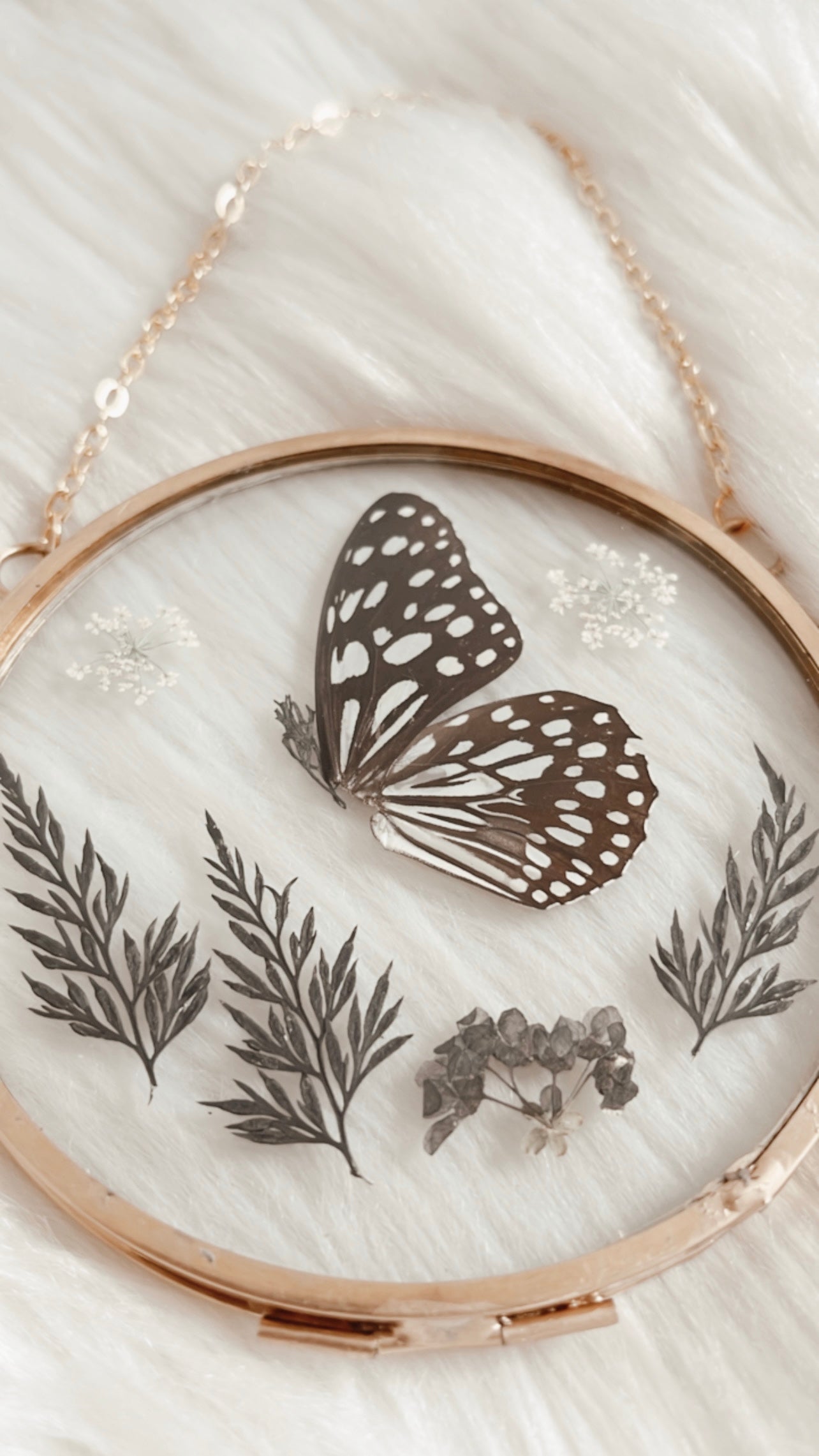 Stella Butterfly Floral Frame