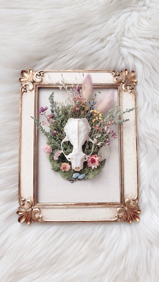 Sutton Oddities Frame <Mink Skull>
