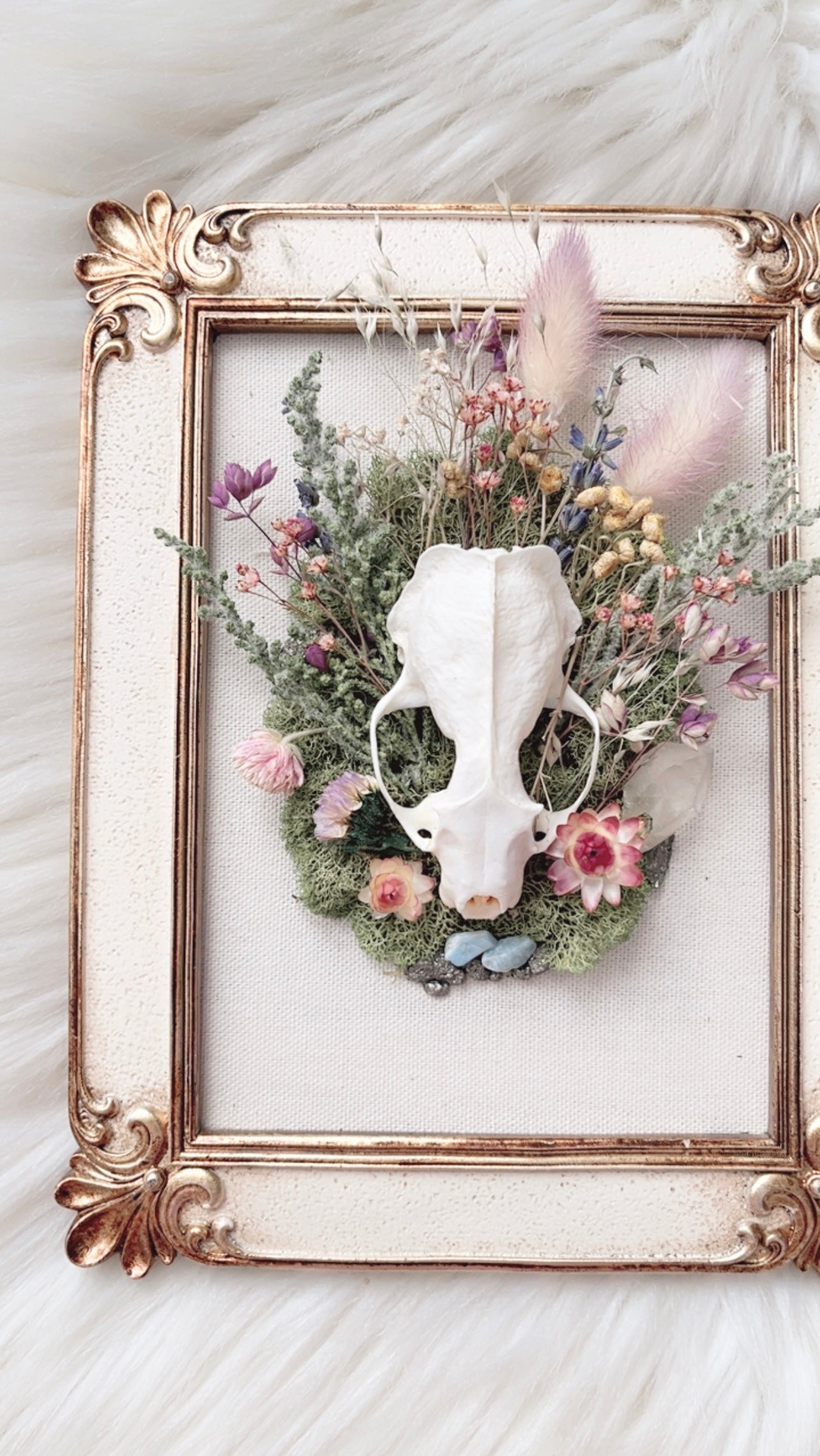 Sutton Oddities Frame <Mink Skull>