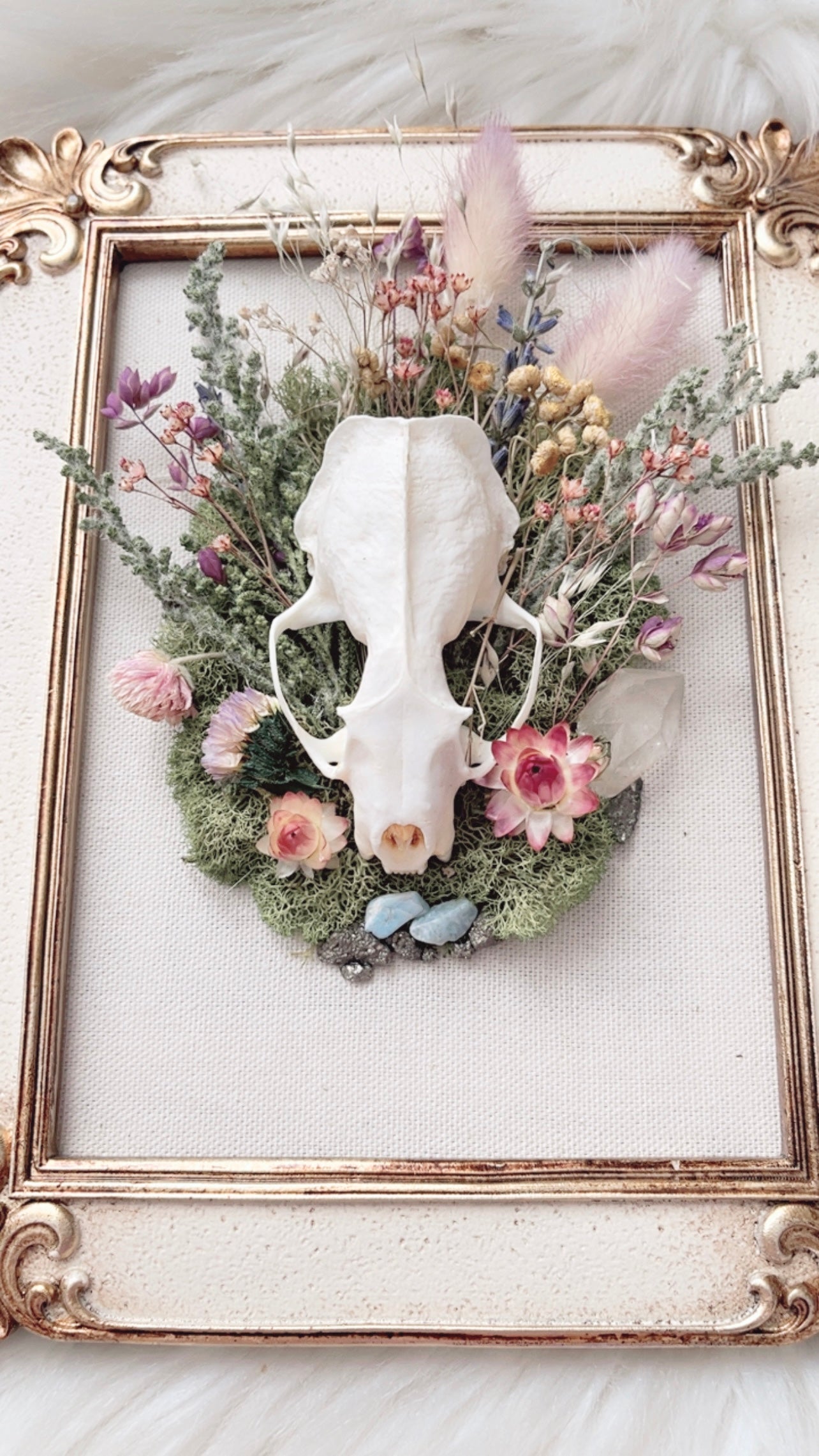 Sutton Oddities Frame <Mink Skull>