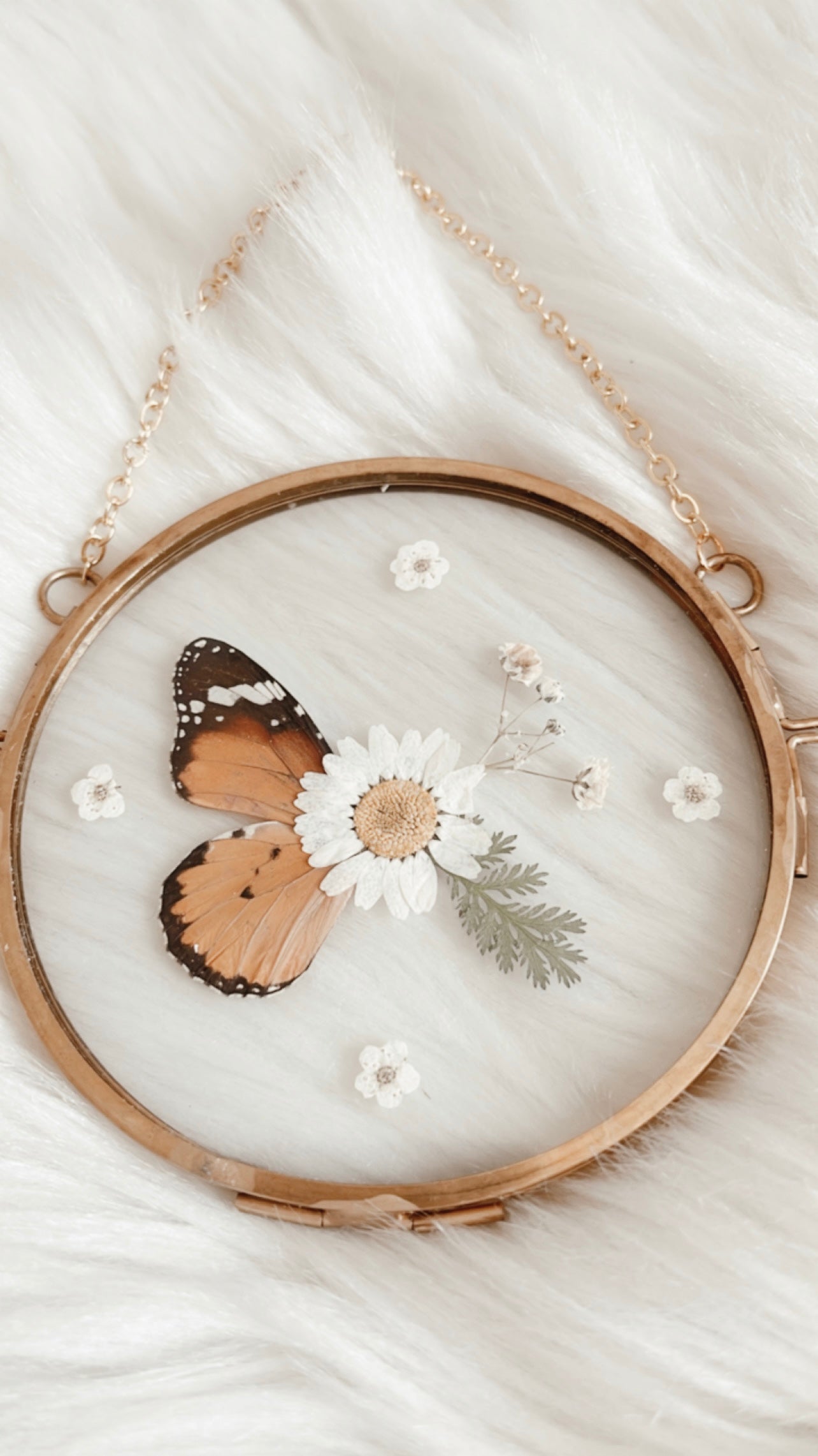 Sylvie Butterfly Floral Frame