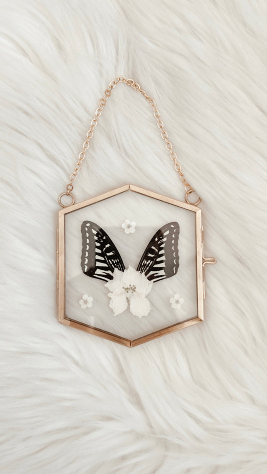Tansy Butterfly Floral Frame