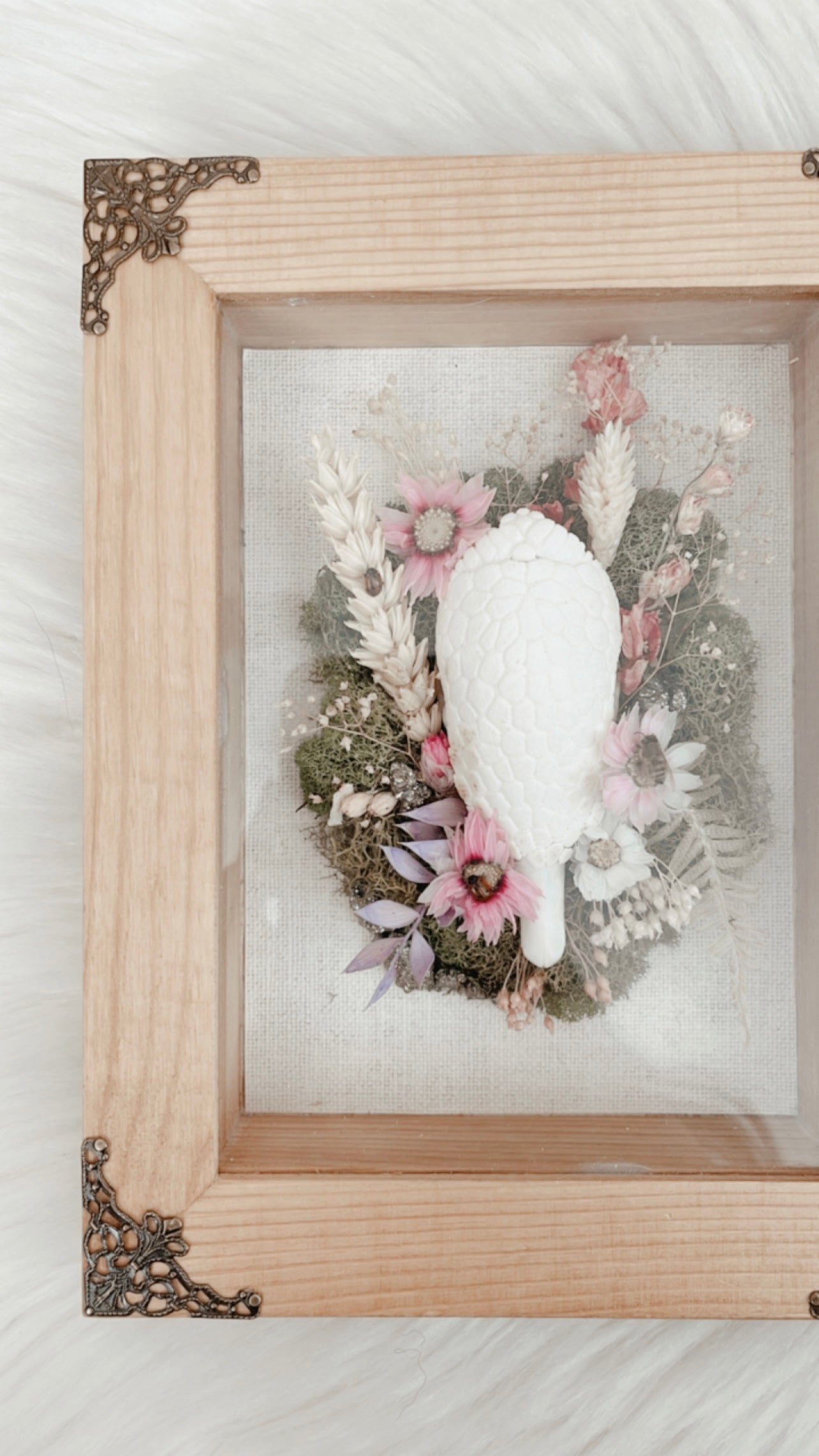 Terry Armadillo Floral Shadowbox