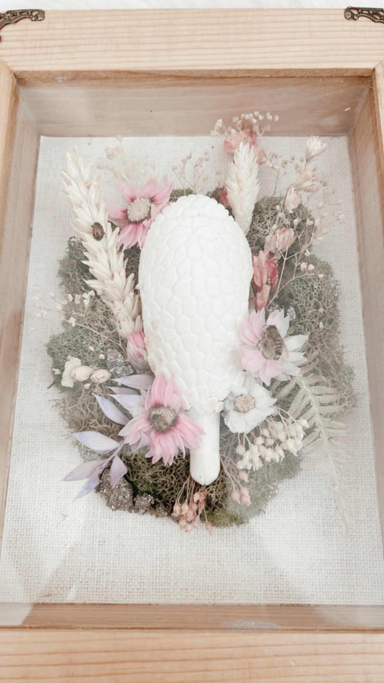 Terry Armadillo Floral Shadowbox