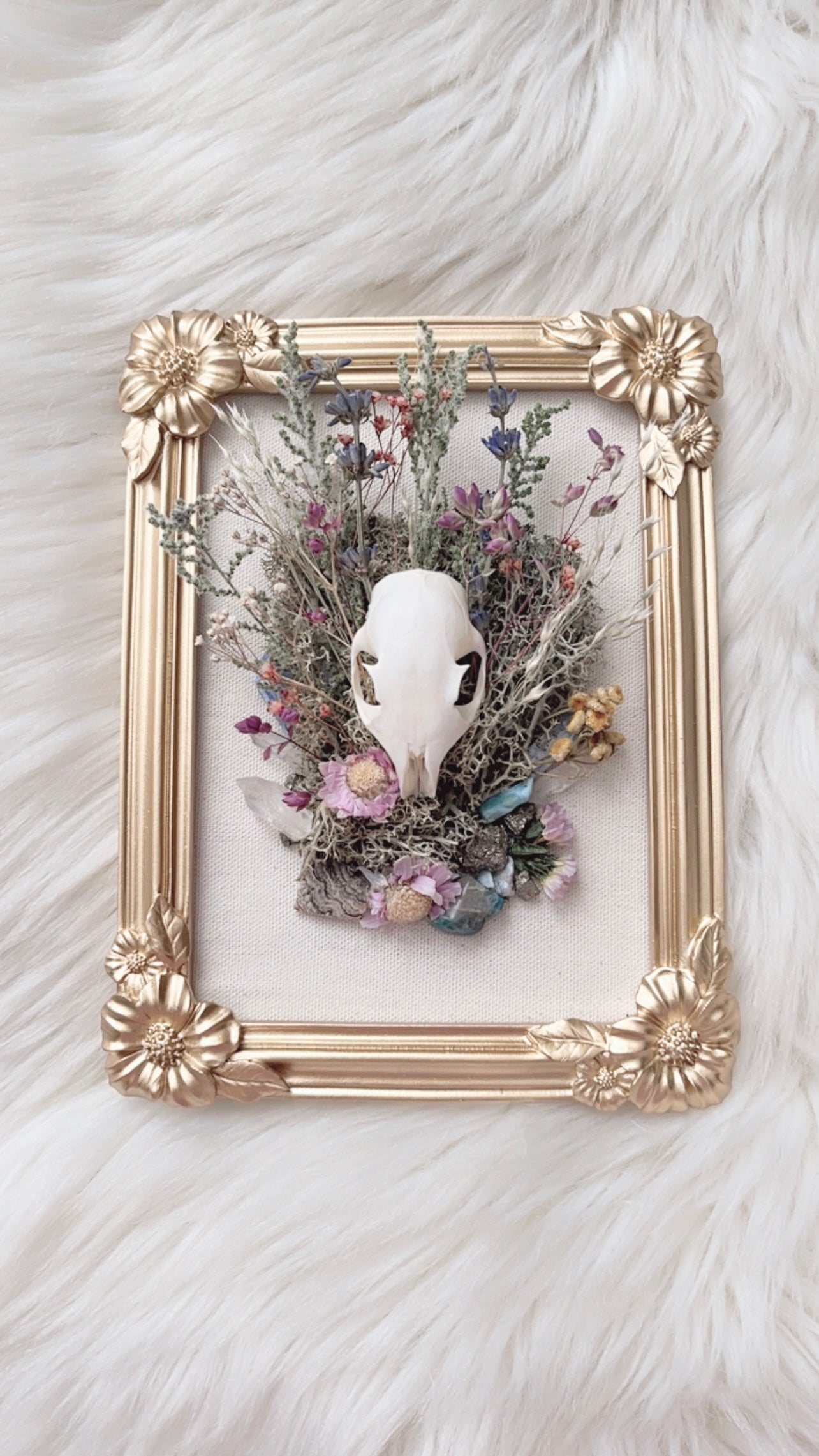 Thea Oddities Frame <Squirrel Skull>