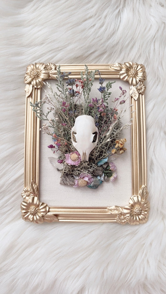 Thea Oddities Frame <Squirrel Skull>