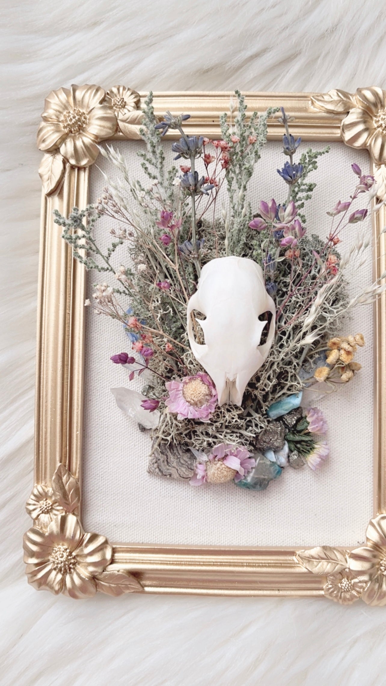 Thea Oddities Frame <Squirrel Skull>