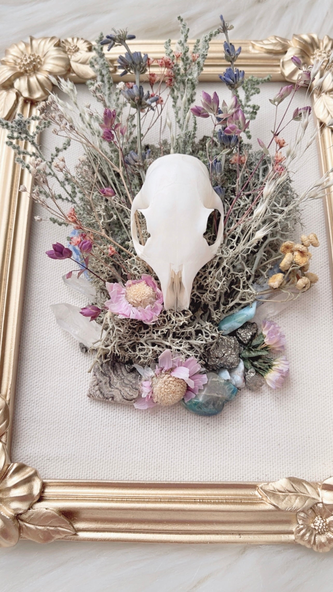 Thea Oddities Frame <Squirrel Skull>