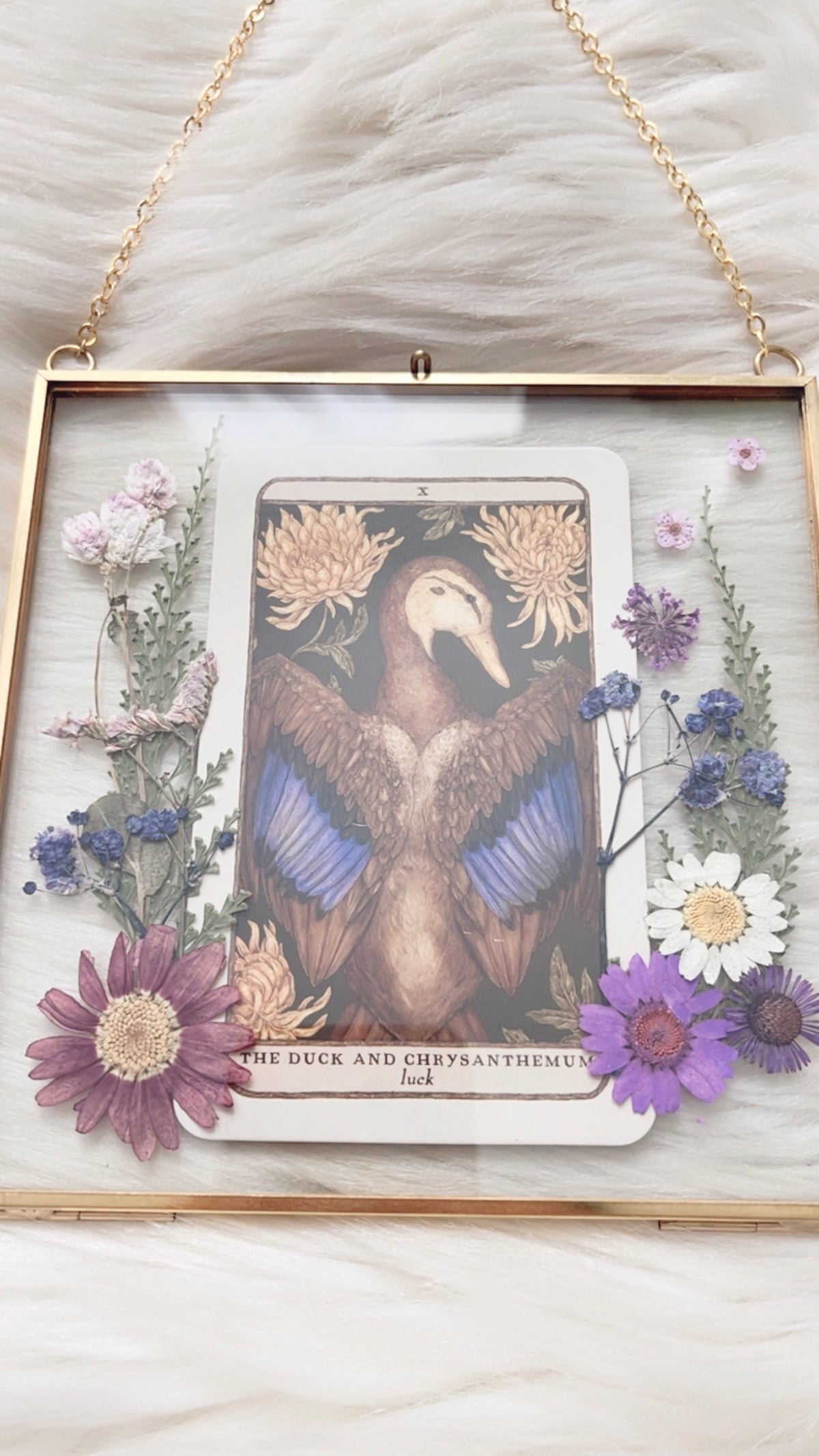 The Duck and Chrysanthemum Oracle Floral Frame