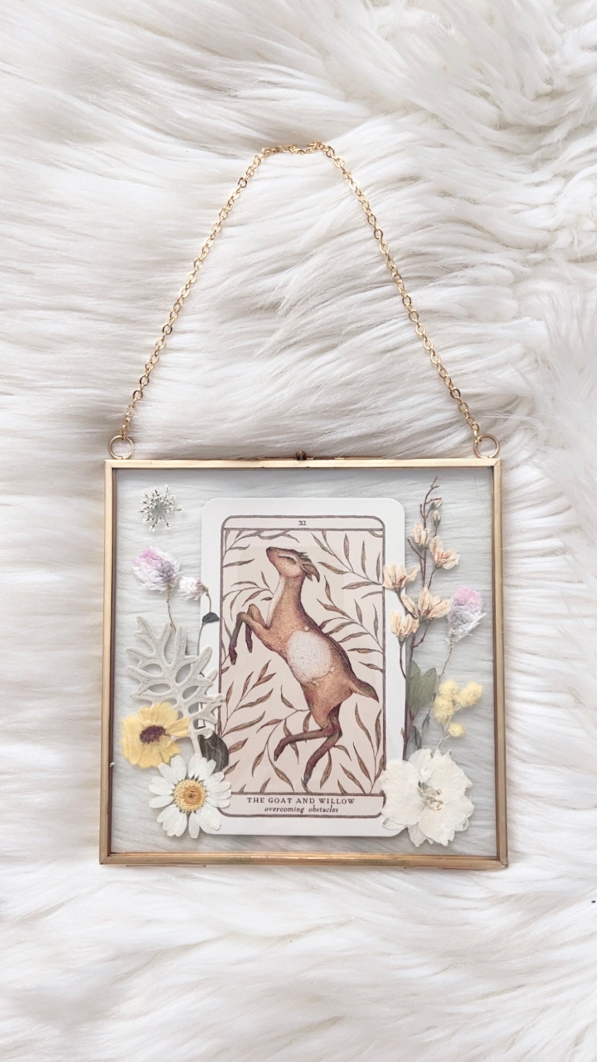 The Goat and Willow Oracle Floral Frame