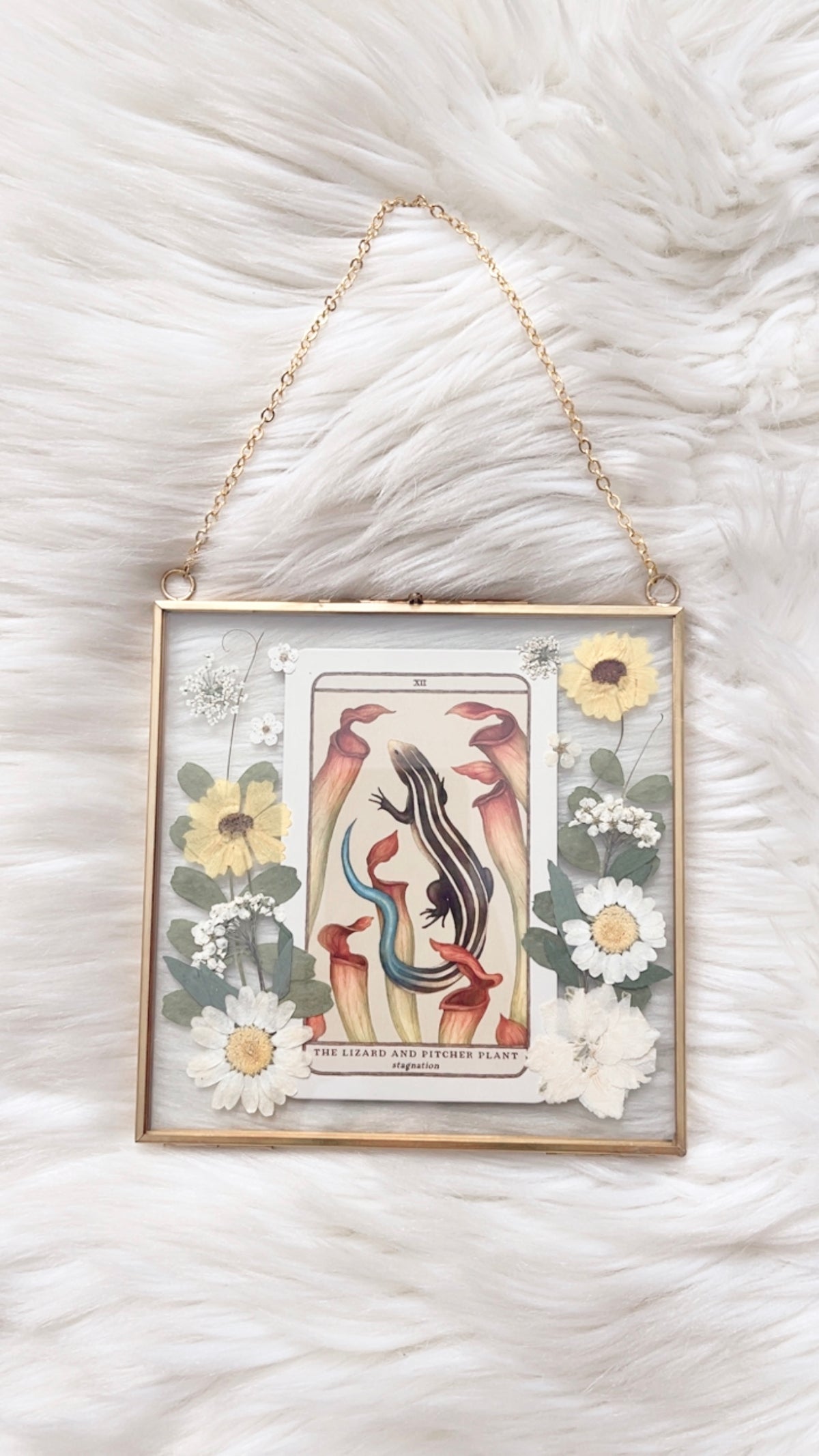 The Lizard and Pitcher Plant Oracle Floral Frame
