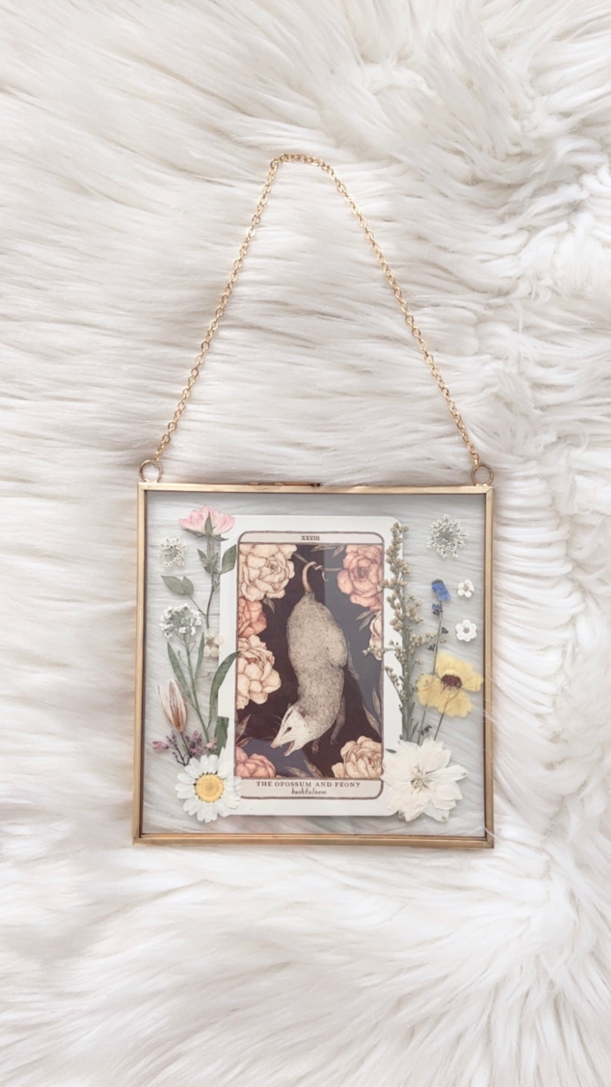 The Opossum and Peony Oracle Floral Frame