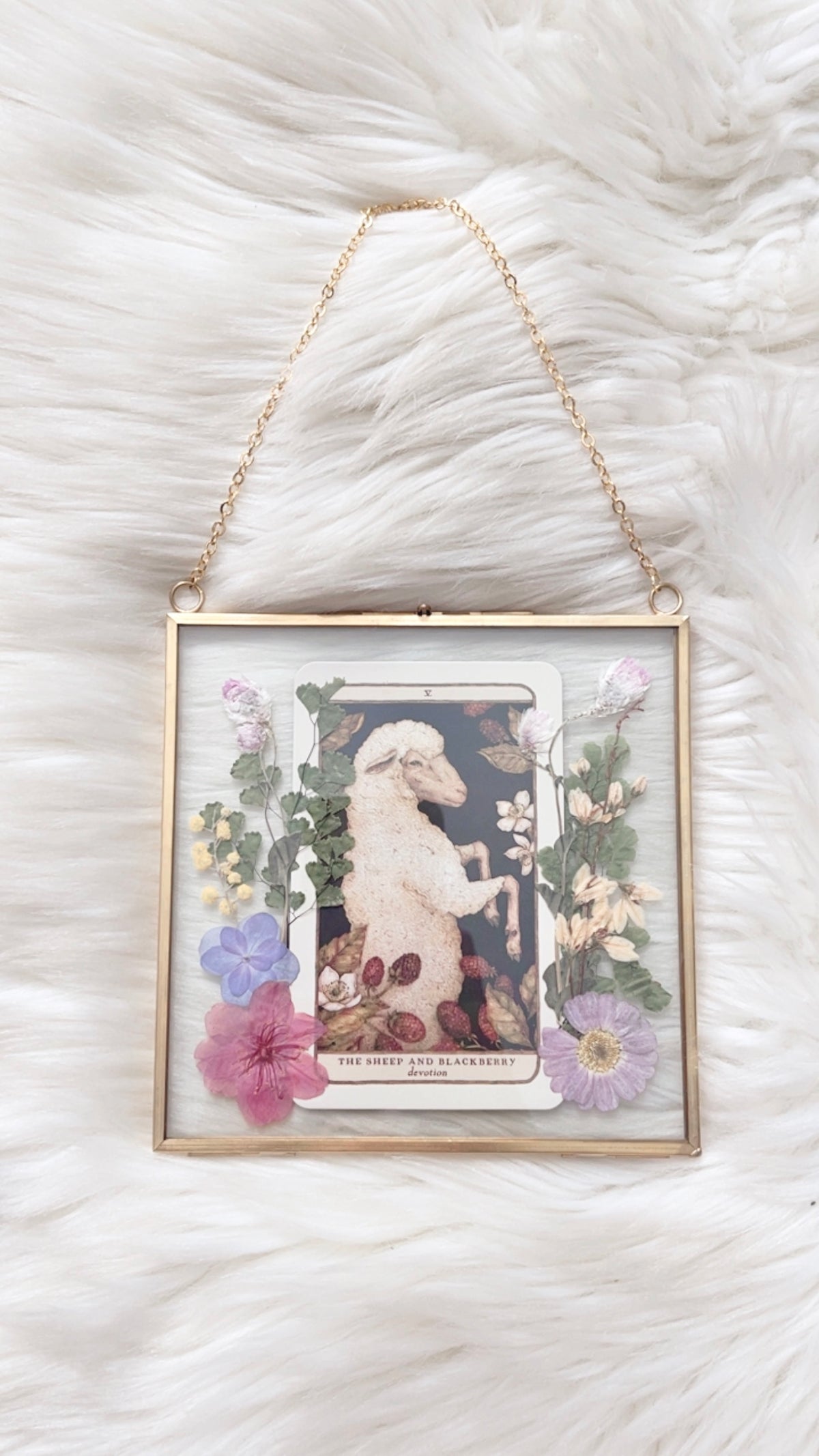The Sheep and Blackberry Oracle Floral Frame