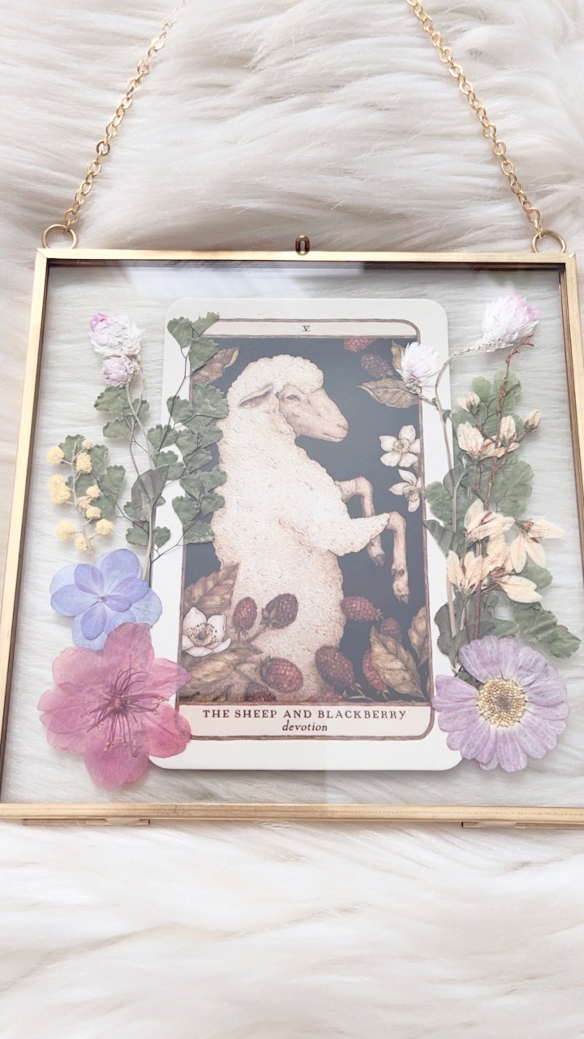 The Sheep and Blackberry Oracle Floral Frame
