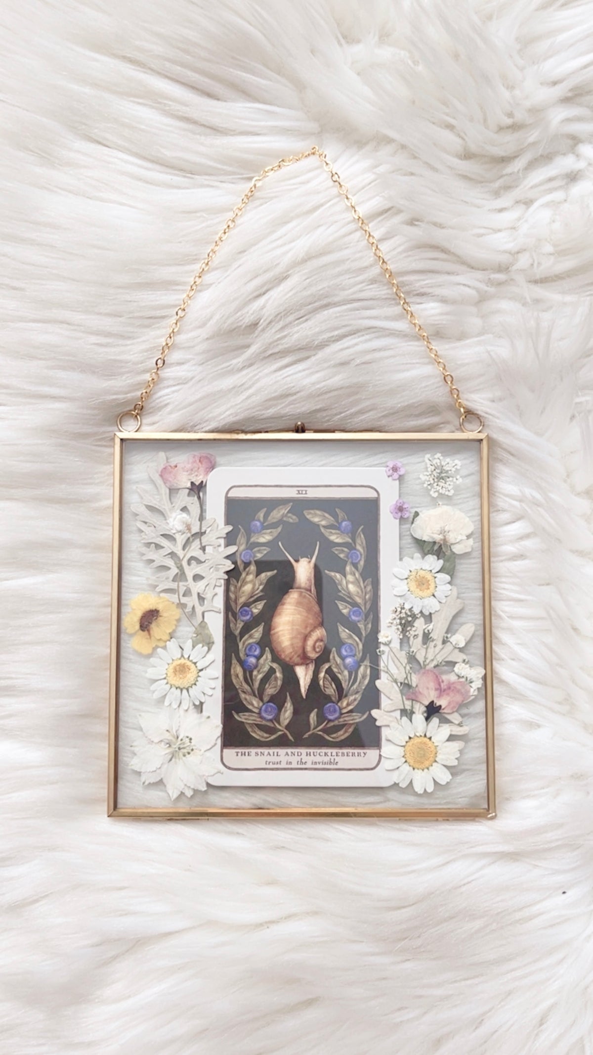 The Snail and Huckleberry Oracle Floral Frame