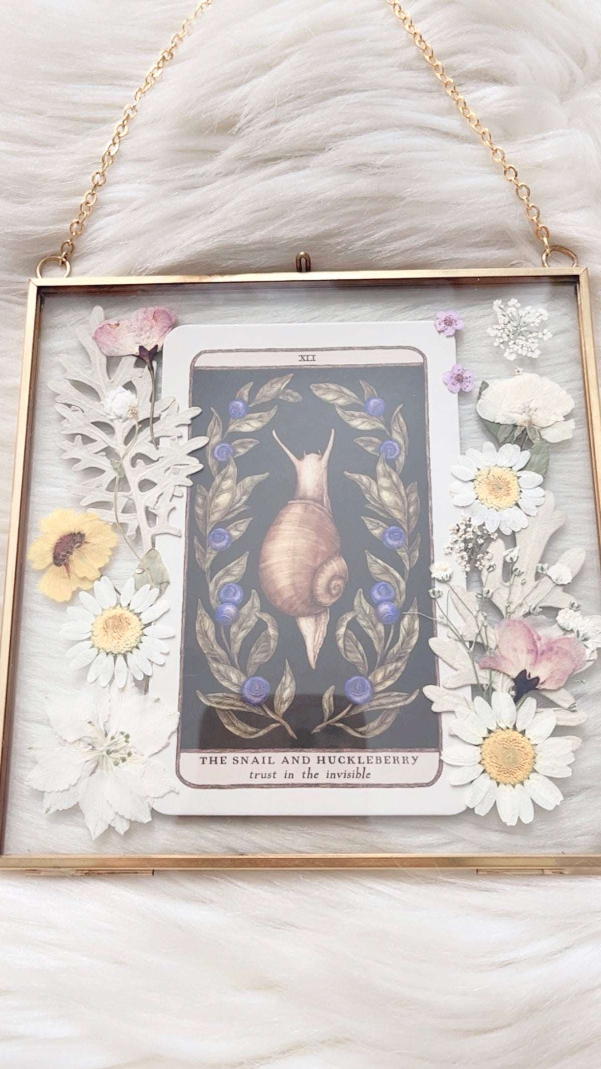 The Snail and Huckleberry Oracle Floral Frame