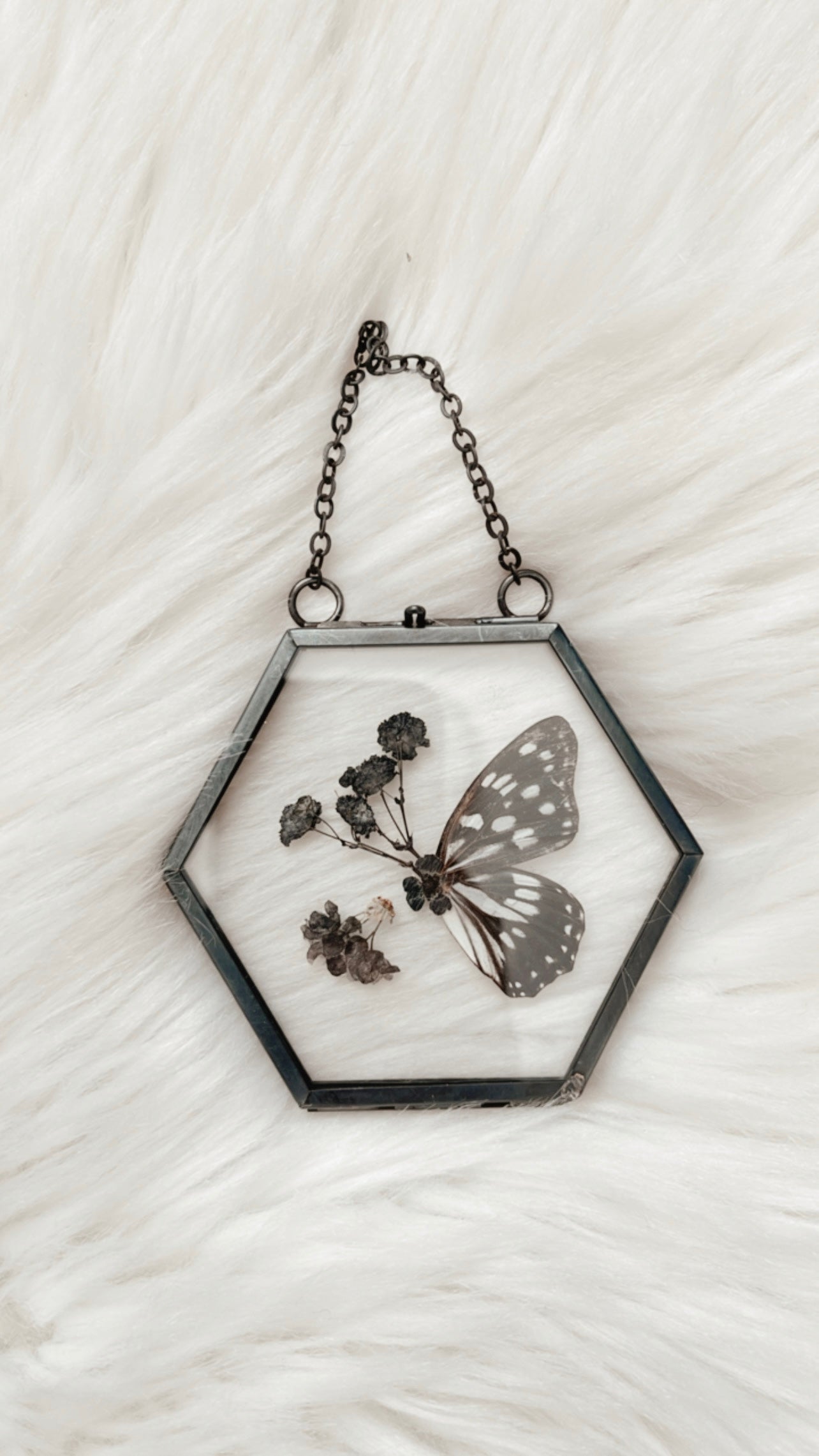 Toni Butterfly Floral Frame