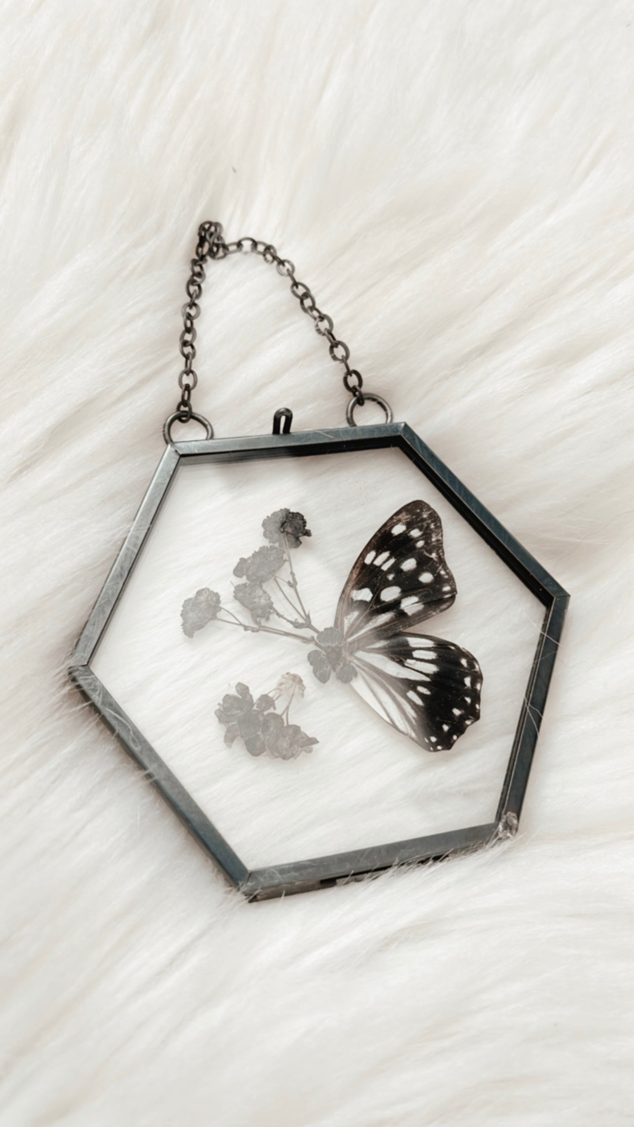 Toni Butterfly Floral Frame
