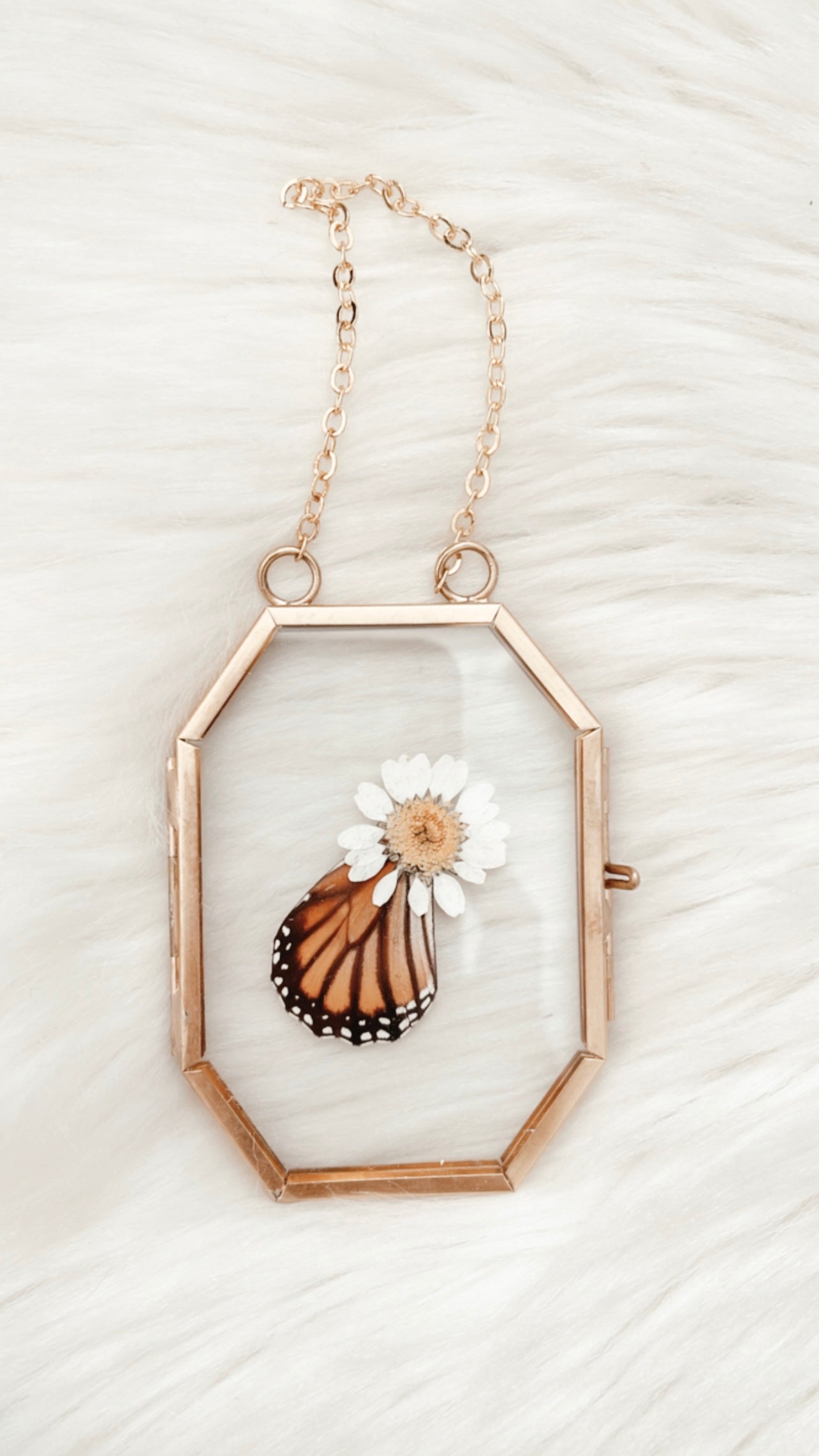 Tori Butterfly Floral Frame