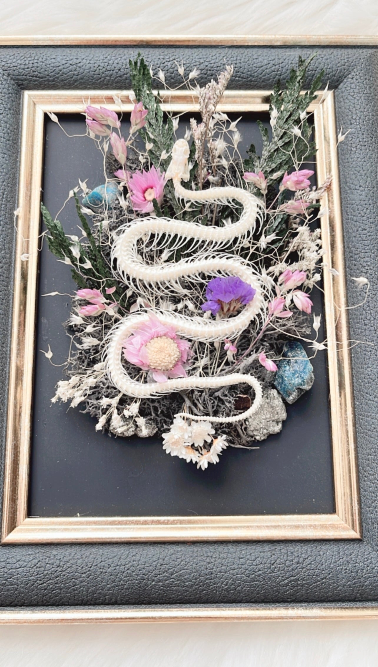 Vallie Oddities Frame <Snake Skelly>