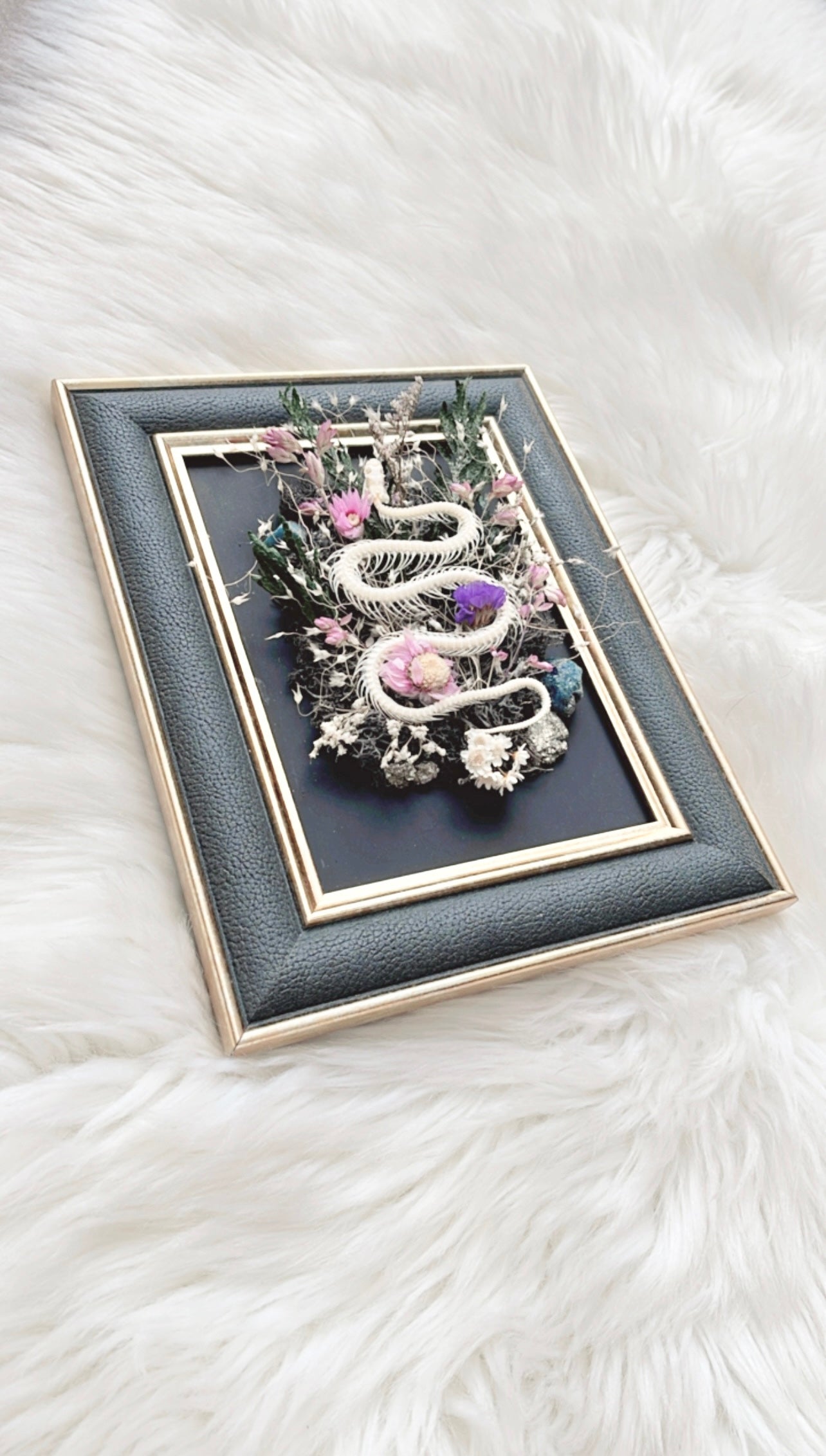 Vallie Oddities Frame <Snake Skelly>