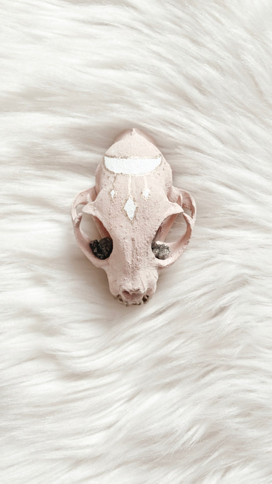 Vanessa Cat Skull