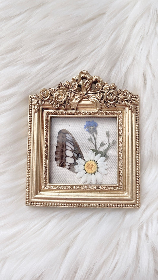 Vera Butterfly Ornate Frame