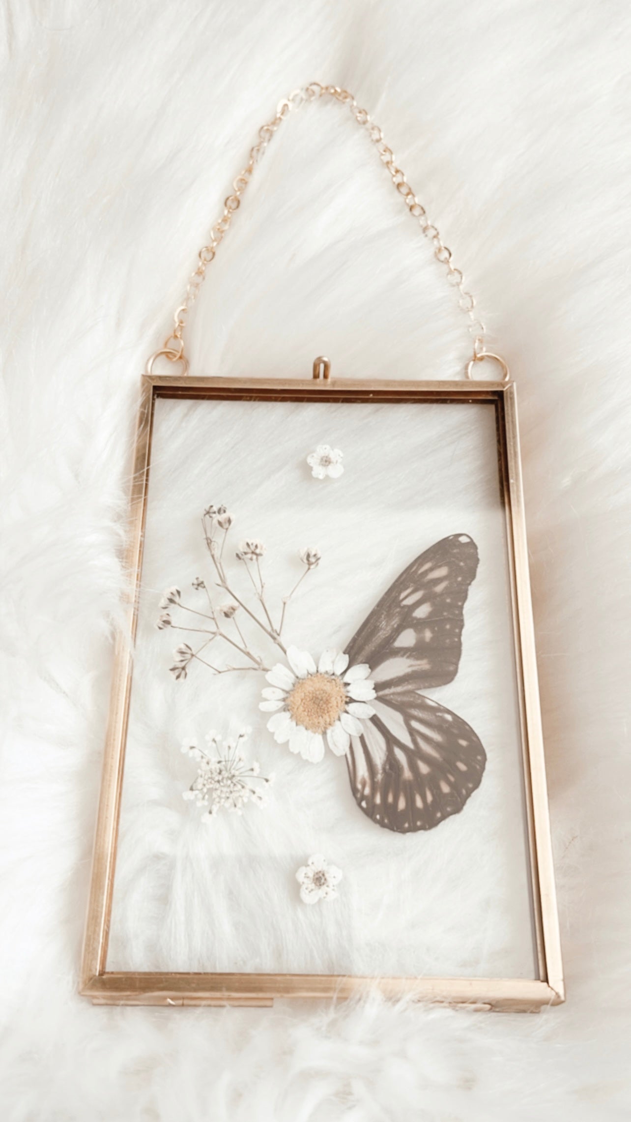 Victoria Butterfly Floral Frame