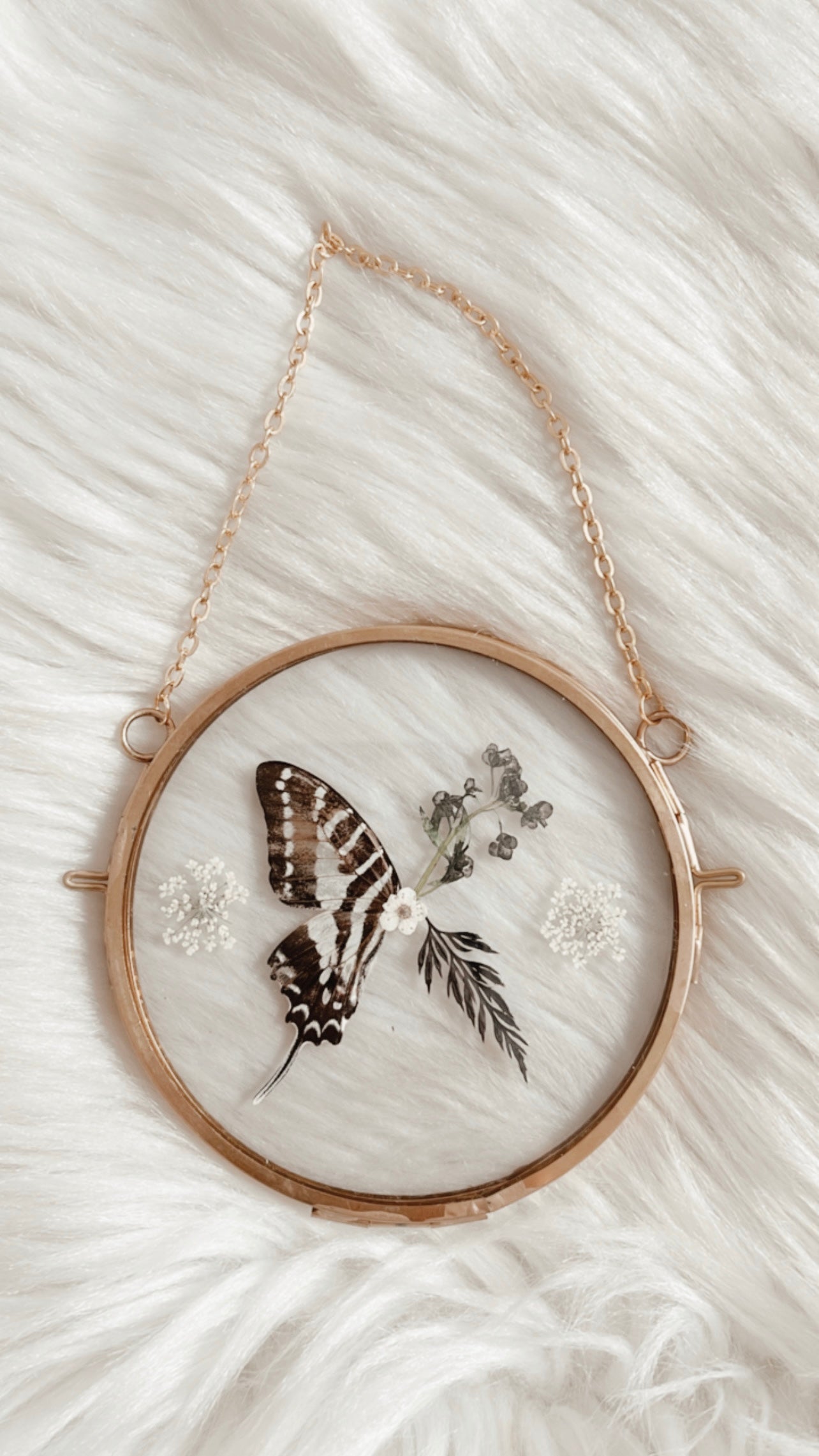 Vienna Butterfly Floral Frame