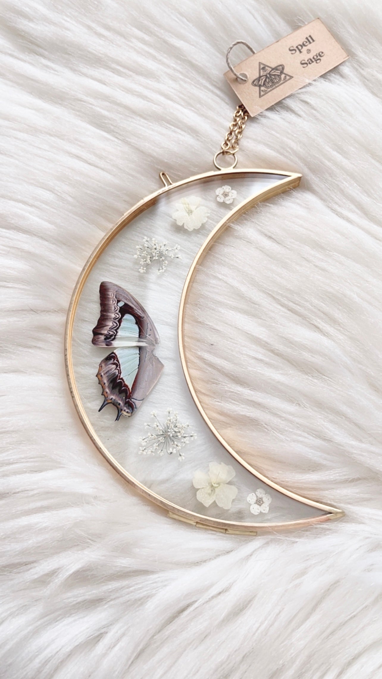 Violet Butterfly Moon Floral Frame <5.5in>