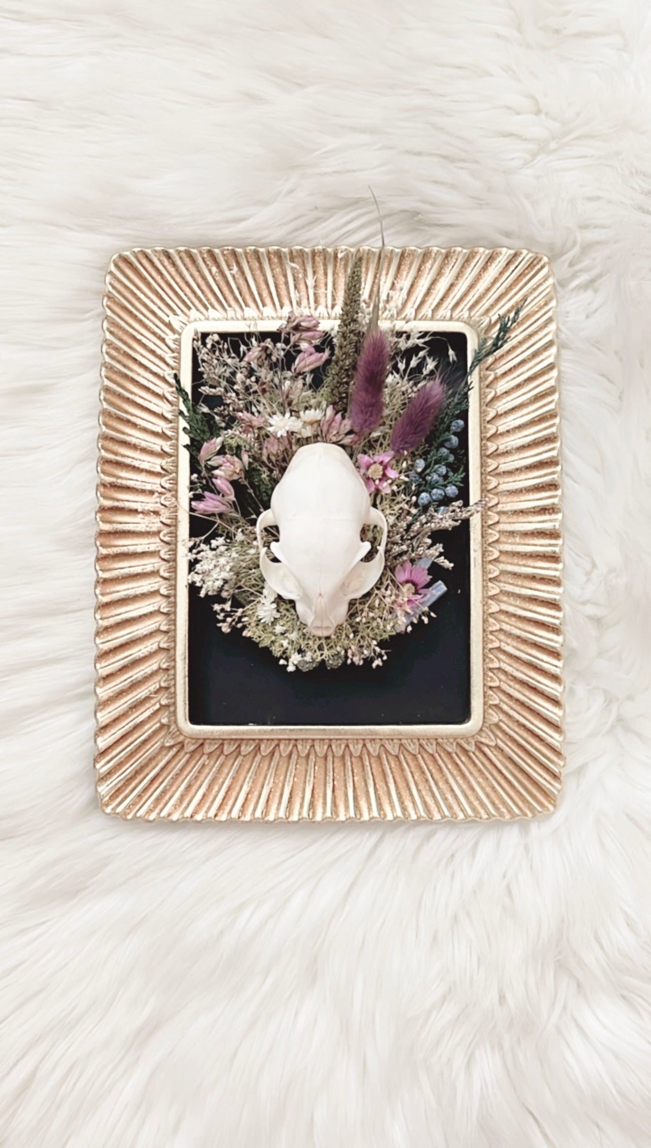 Violet Oddities Frame <Cat Skull>