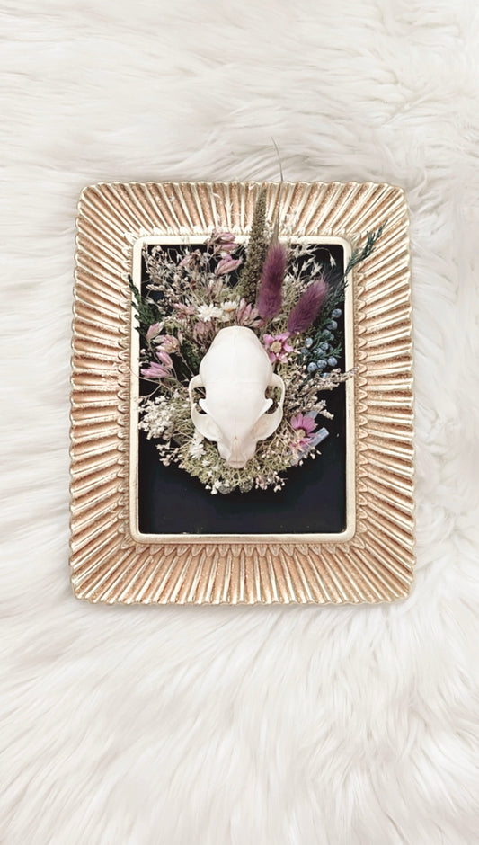 Violet Oddities Frame <Cat Skull>